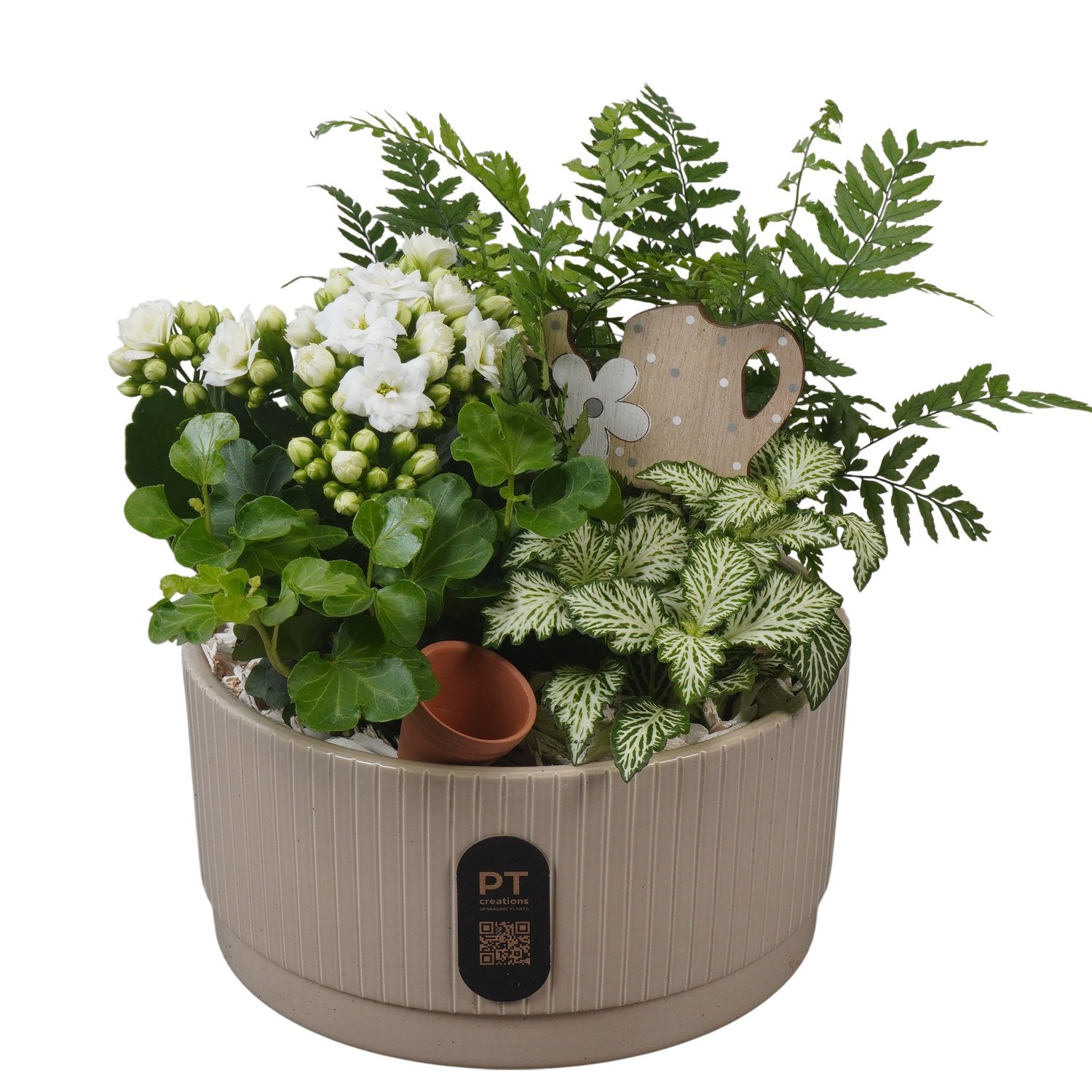 PTIB5119 Arrangement Indoor in keramiek schaal, D 19