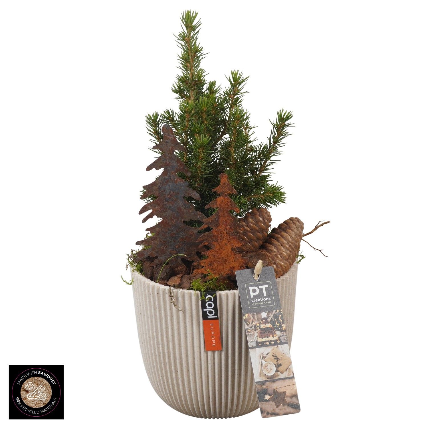 PTCWW6933 Arrangement Winter in capi pot, D 13 cm