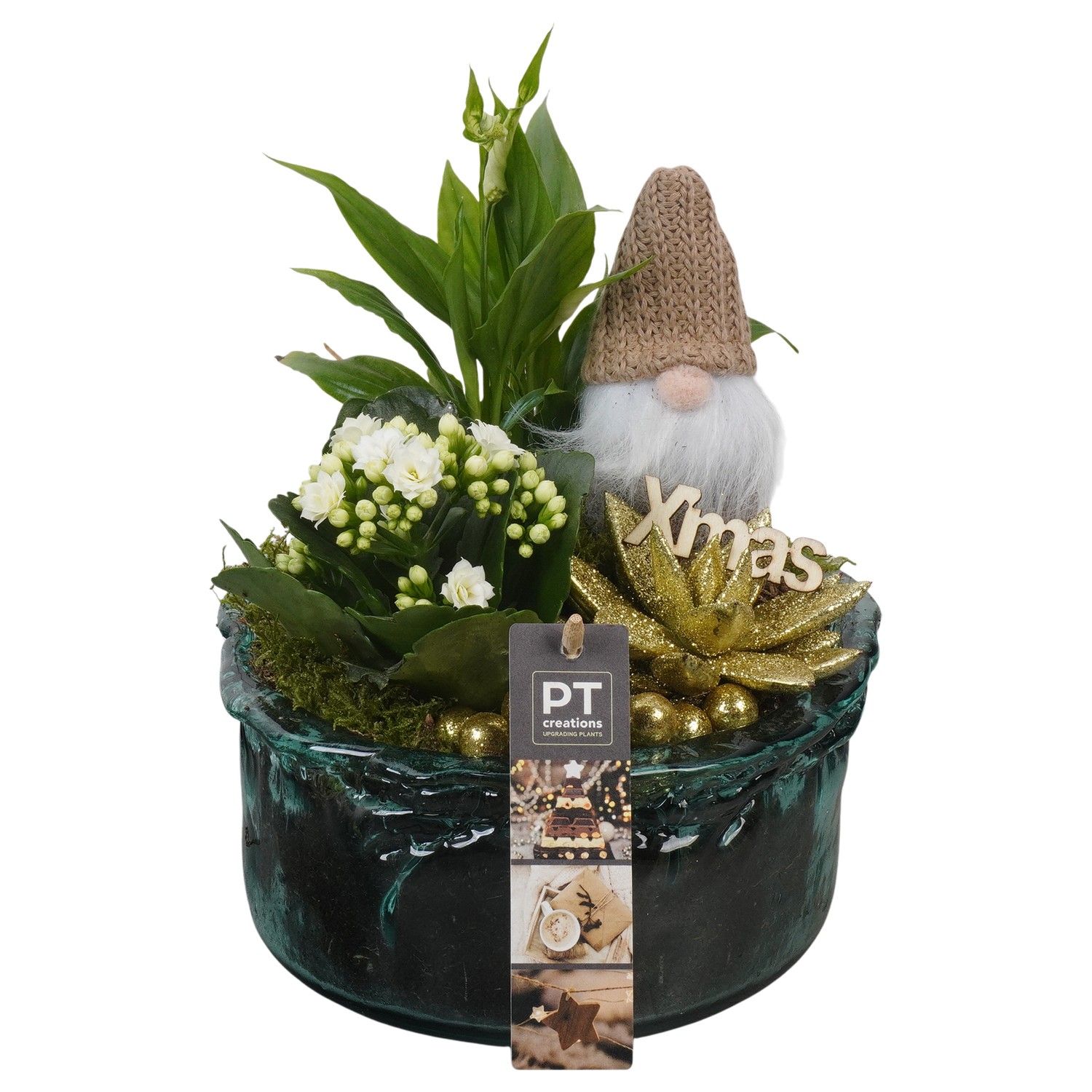 PTCHG5726 Arrangement Christmas Gold in glas schaal, D 18 cm