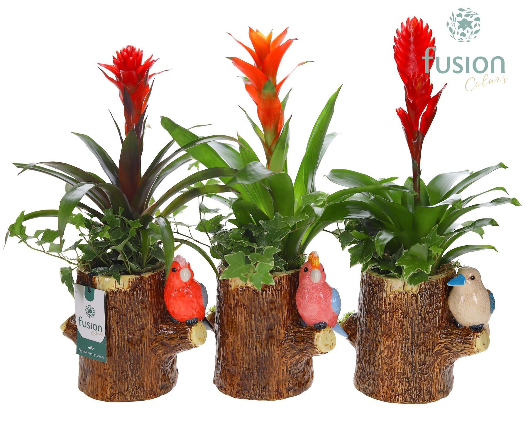 Keramiek boomstam planter met Arrangement, D 19