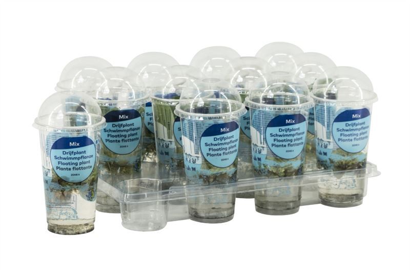 Drijfplanten mix in beker small, D 9