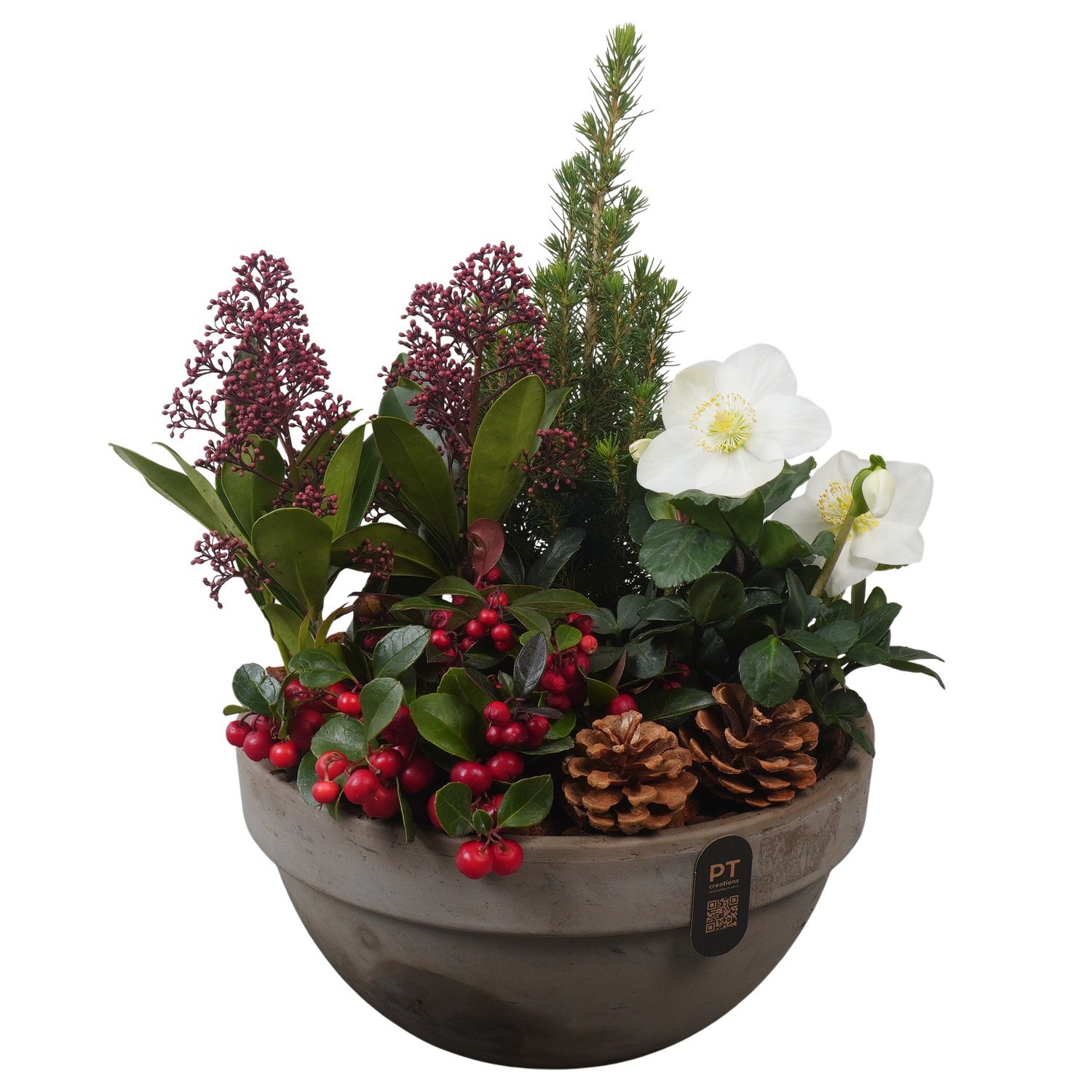 PTWO2858 Arrangement Winter Outdoor in terracotta schaal, D 26