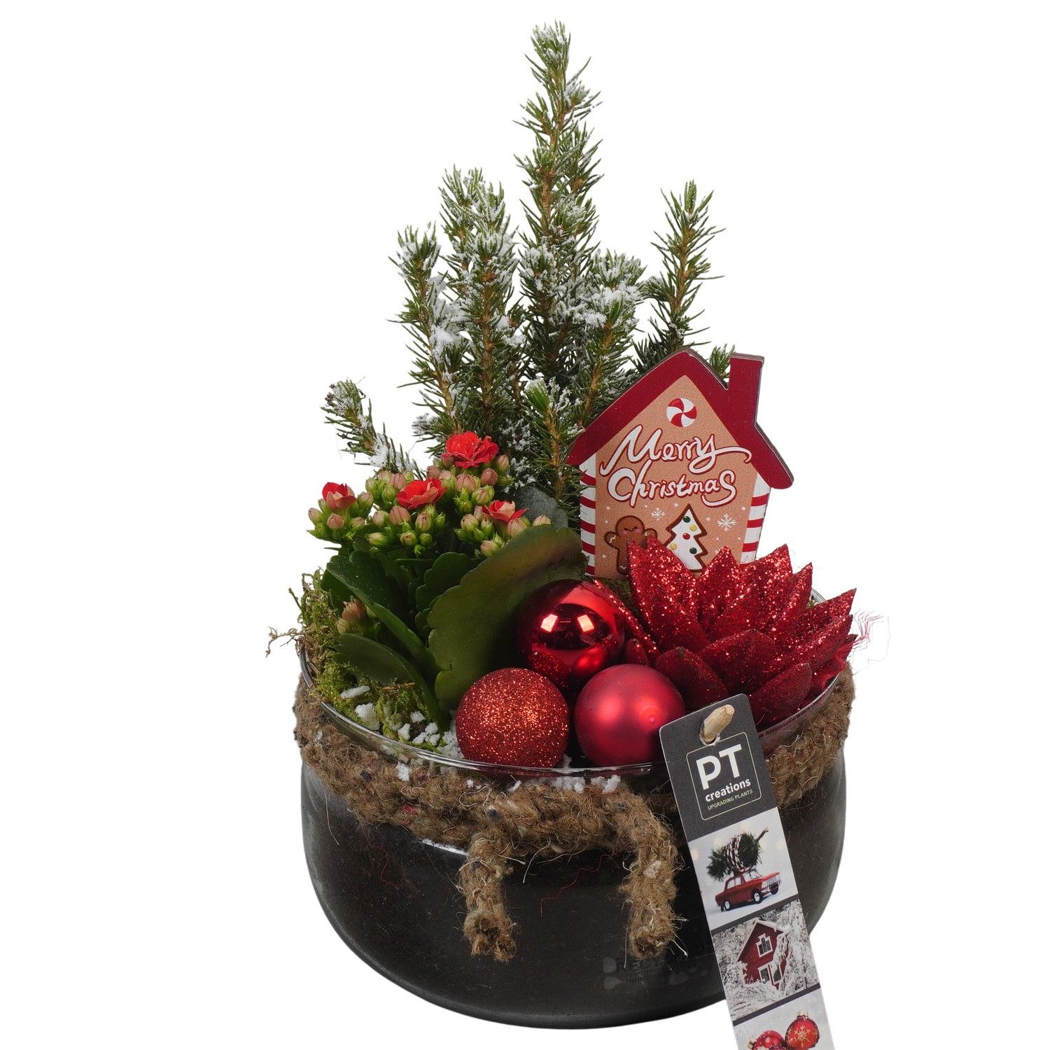 PTCHR7443 Arrangement Christmas Red in glas schaal, D 16 cm