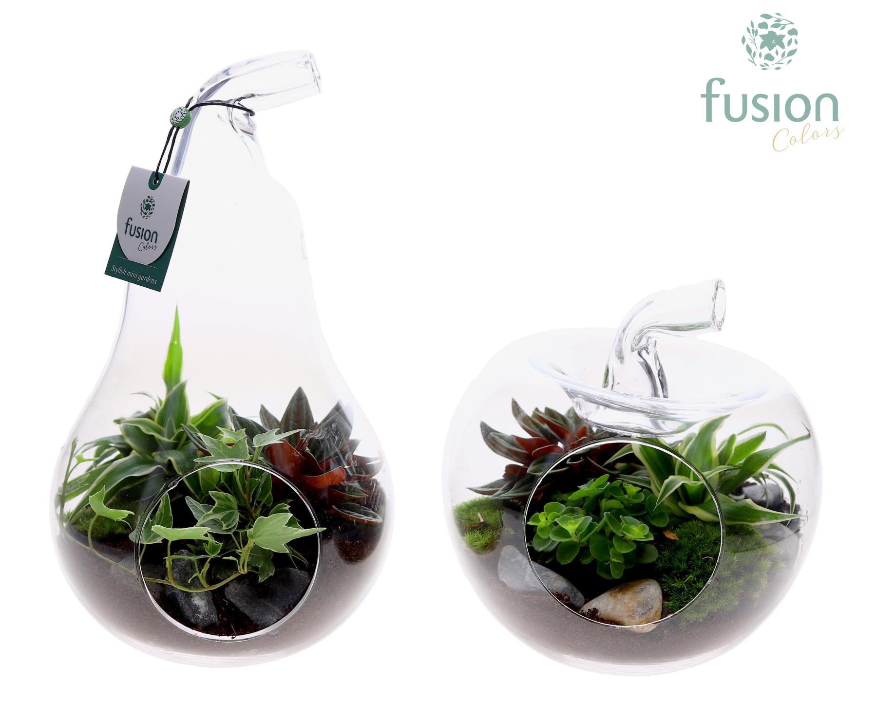 Peer en Appel glas met arrangement., D 18