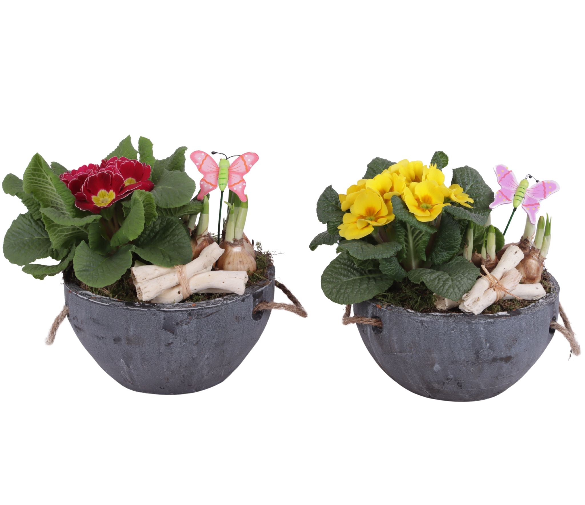 Early Spring Arr. Outdoor Ceramic Pot with Rope Handle Ø20cm 2PP, D 20