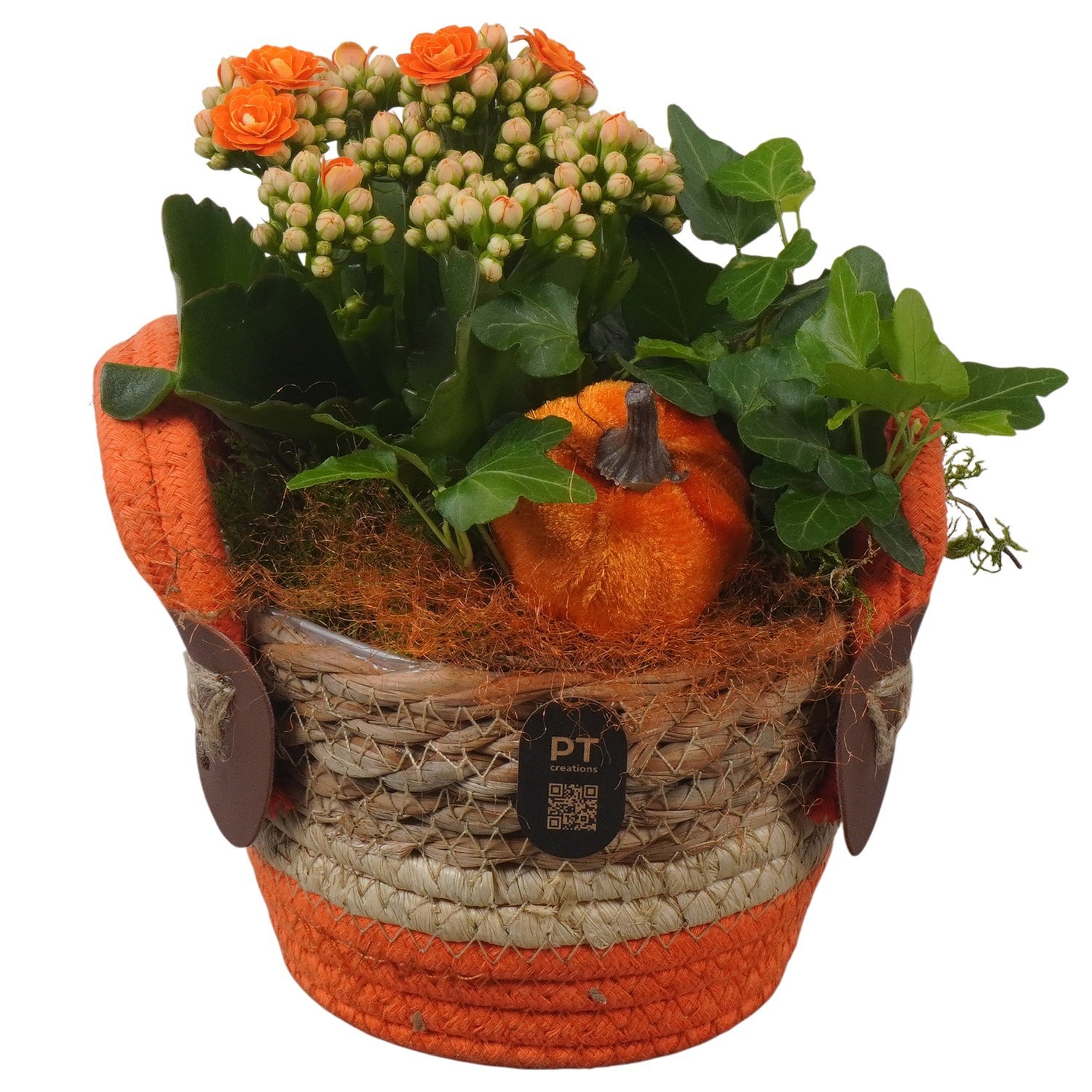 PTHI3290 Arrangement Autumn Indoor in rieten mand, D 12