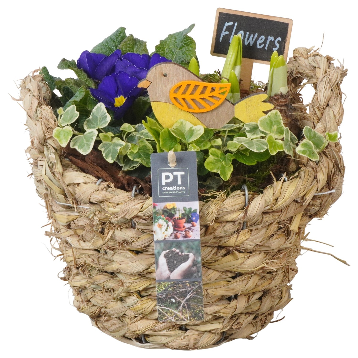 PTBM3836 Arrangement Flower Bulbs Mix in rieten mand, D 20