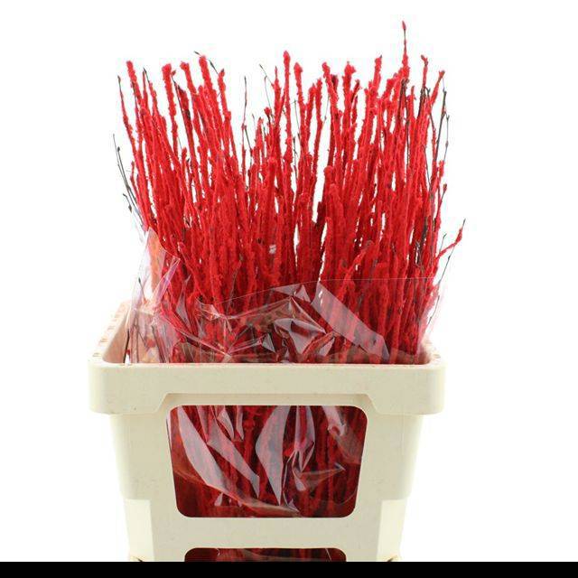 Беркетакен Овериг Крашеный (краш. ) 70, шт.