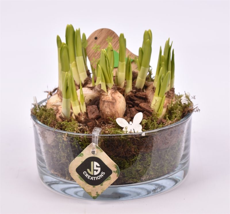 Glas schaal 15cm, D 15