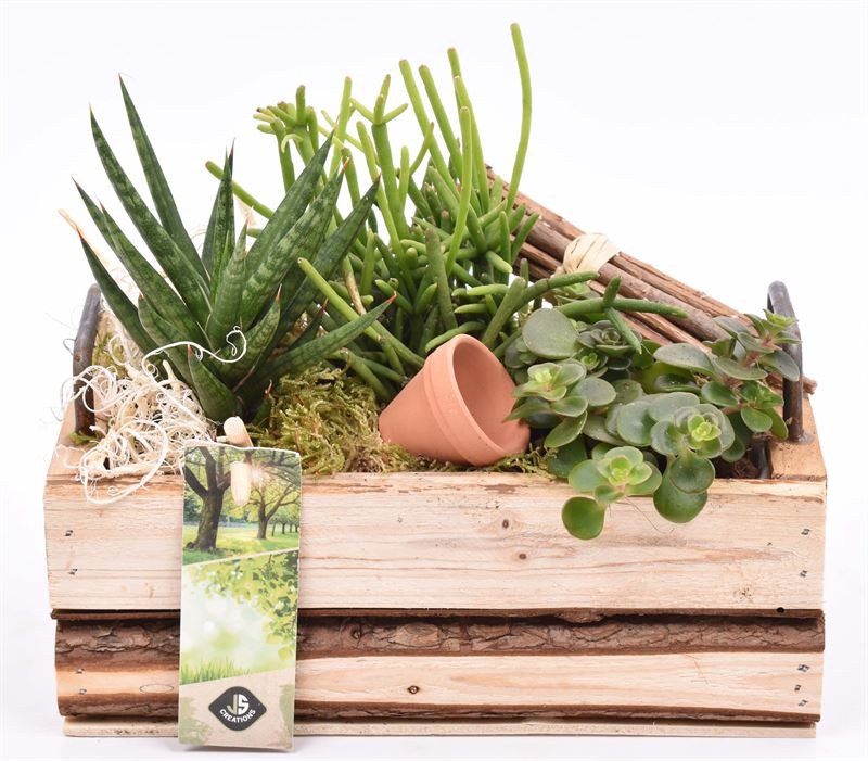 Hout rechth. met handvat 20x11cm, D 20