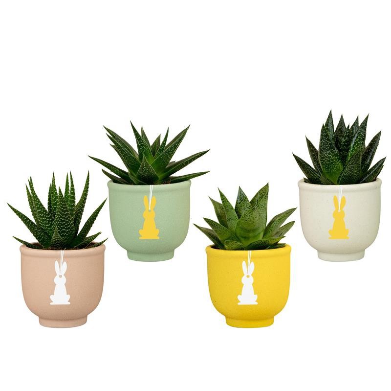 520647 Hopper EASTER CERAMIC, D 6