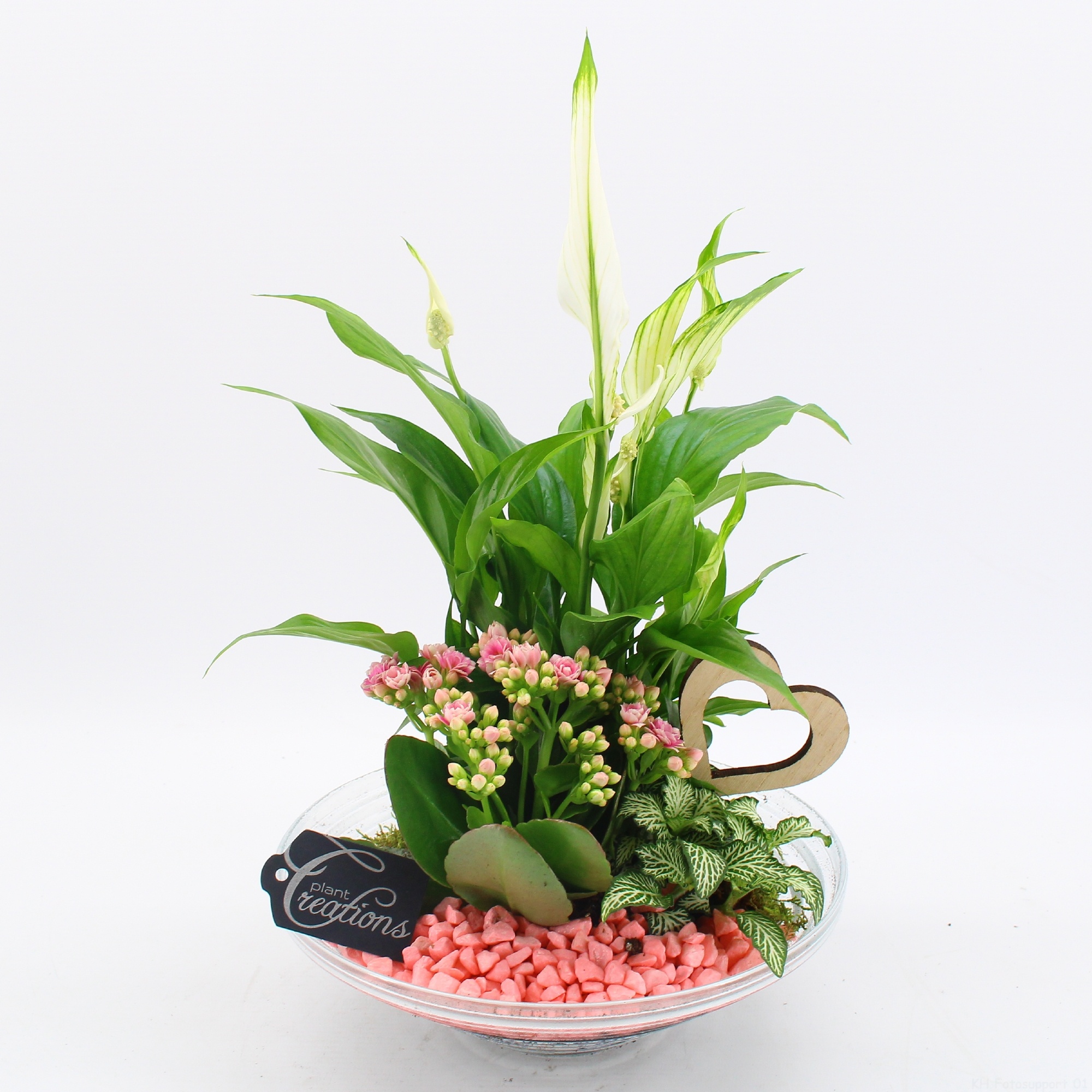 FDRM-2602RZ Romantic Fundamentals, D 25