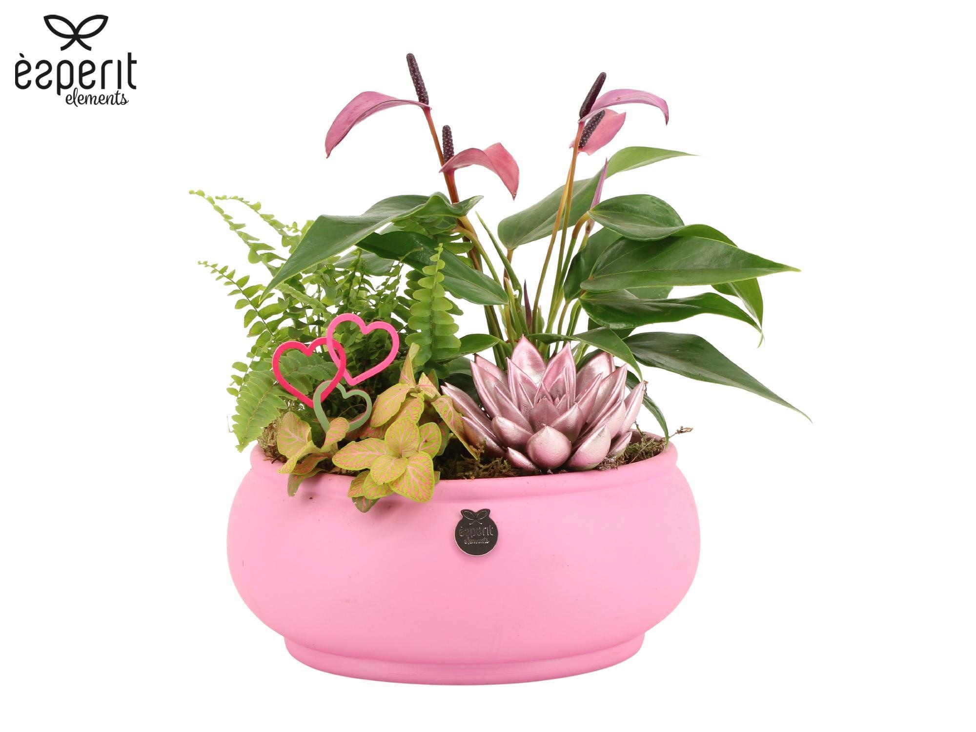 22131: Lovess arrangement, D 23