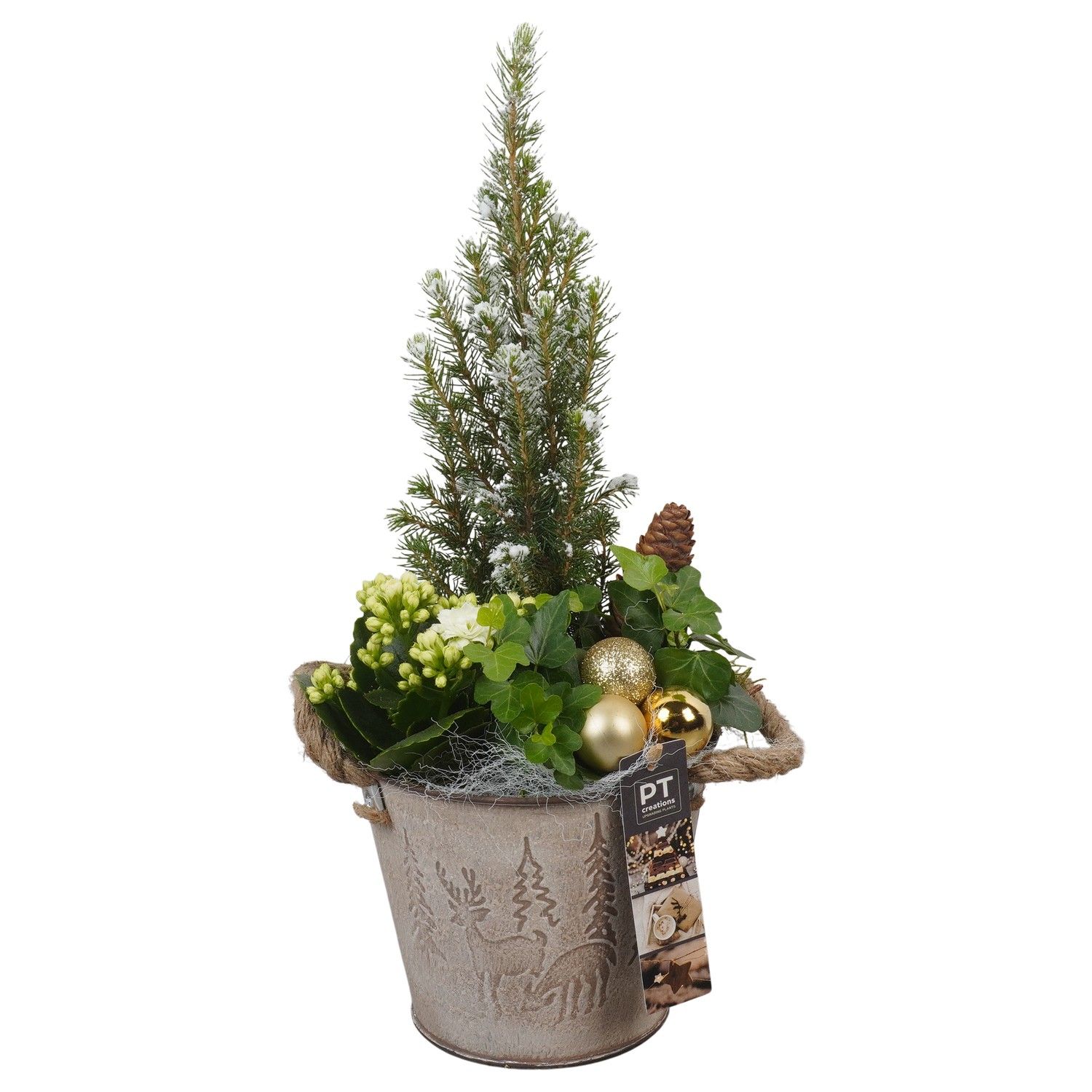PTCHG5668 Arrangement Christmas Gold in metaal pot, D 15 cm