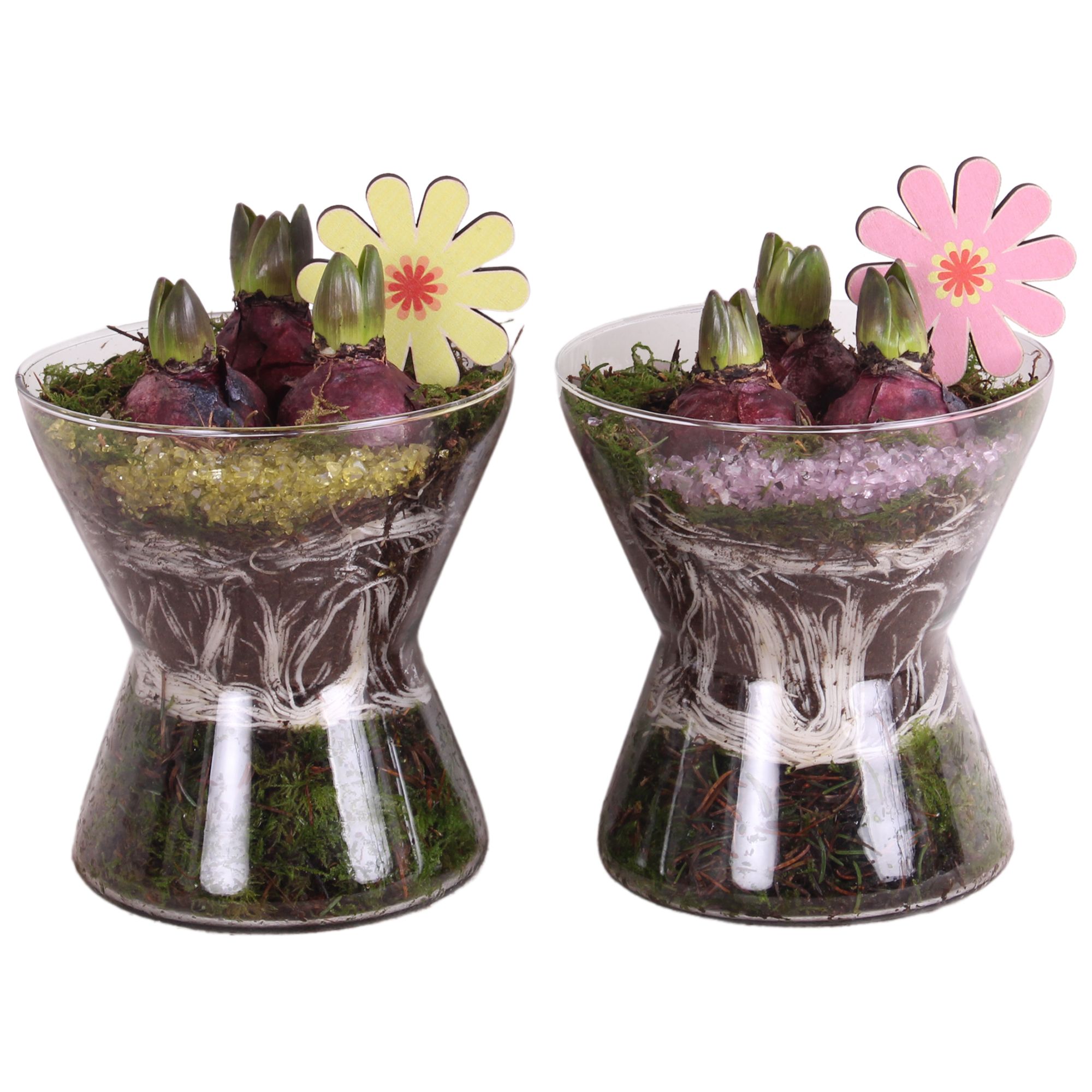 Bulbs Arr. Hyacint Glass Hourglass Ø16cm 3PP, D 16