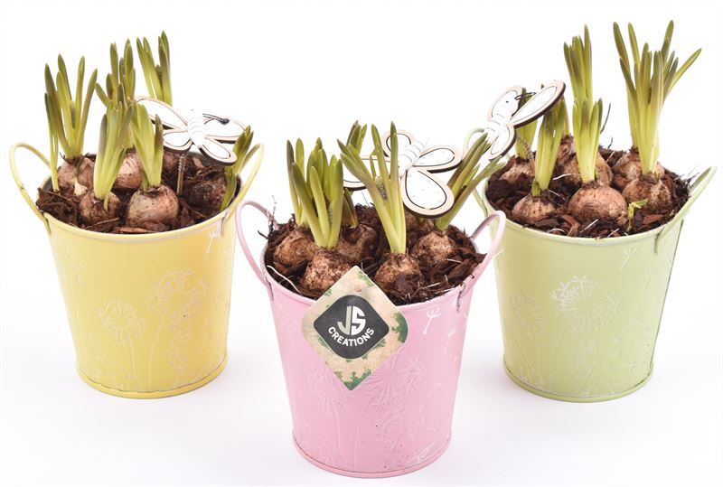 Zink emmer decor 12cm, D 12