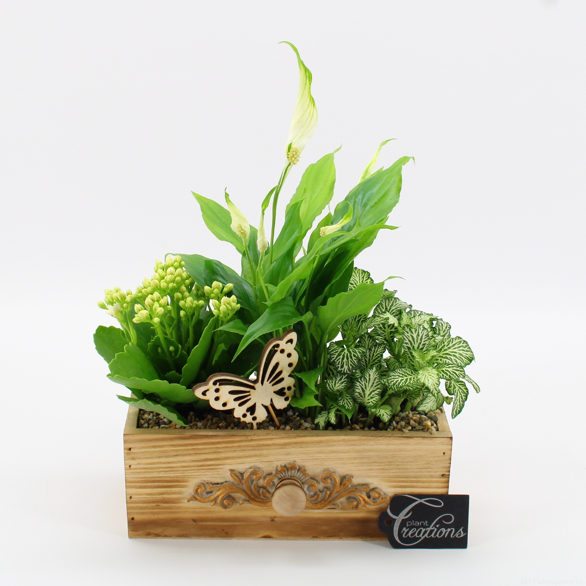 ESCR-2610W Essentials, D 21