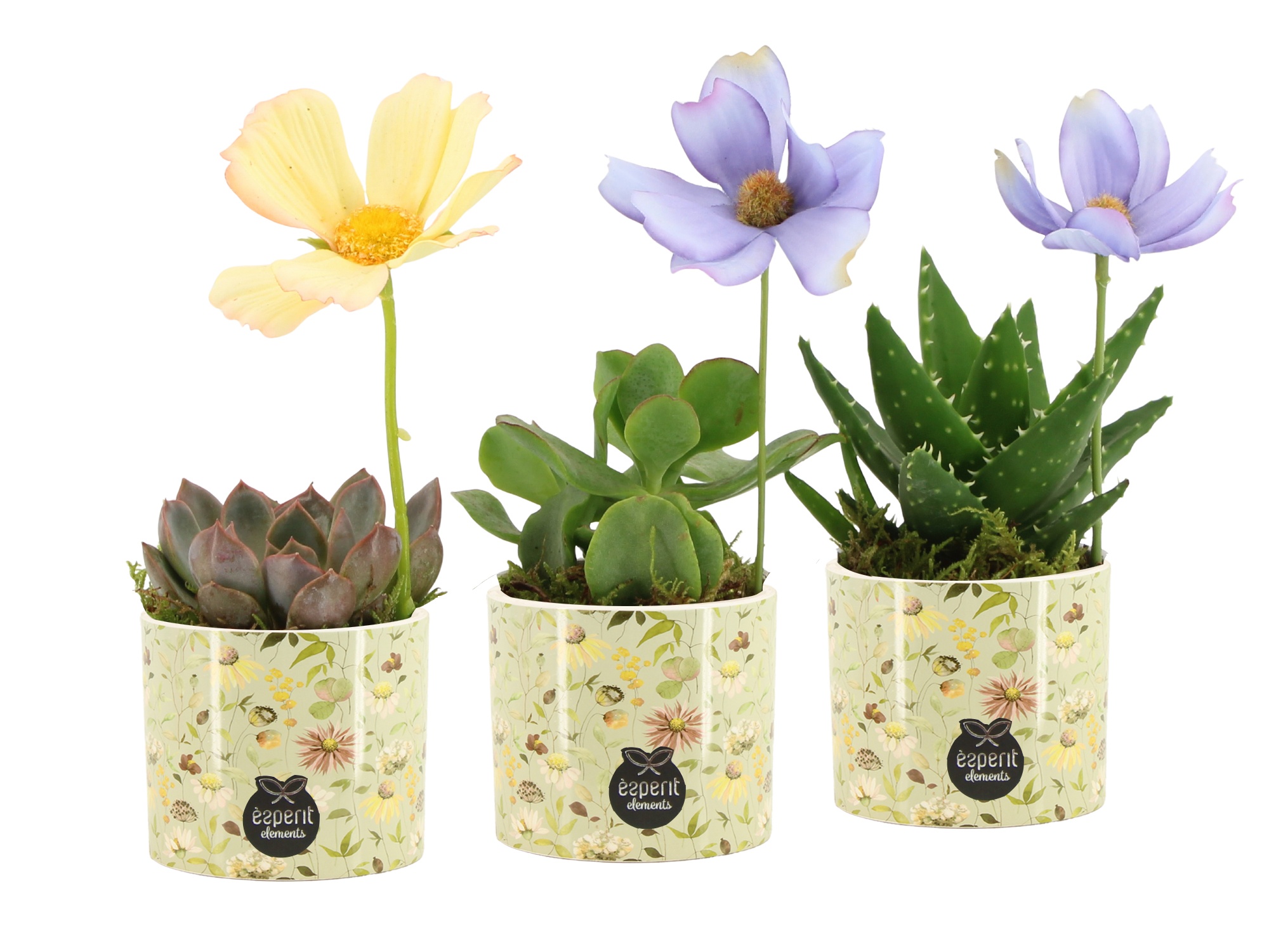 11695: Consideration arrangement, D 8 cm