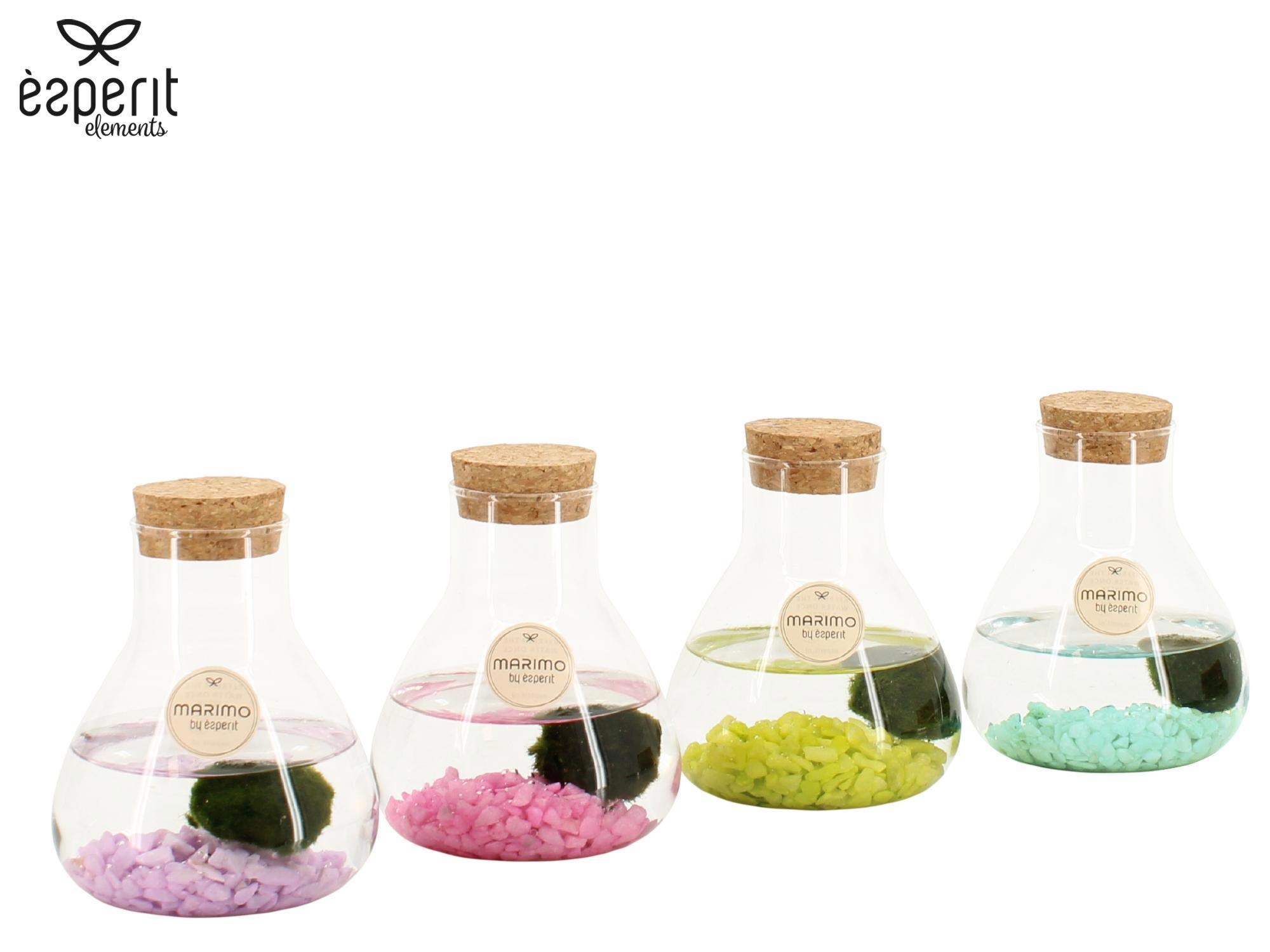 90945: Marimo arrangement, D 10