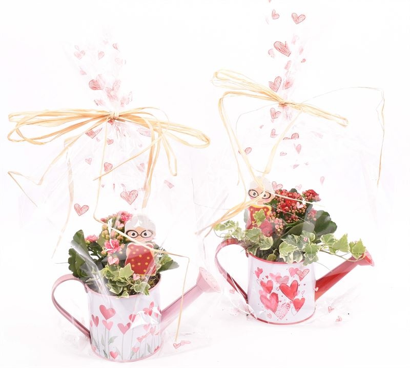 Zink gieter roze/rood hart 24x10cm, D 24