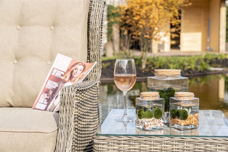 Chladophlora in Vaas x2 (D12-H18), D 12