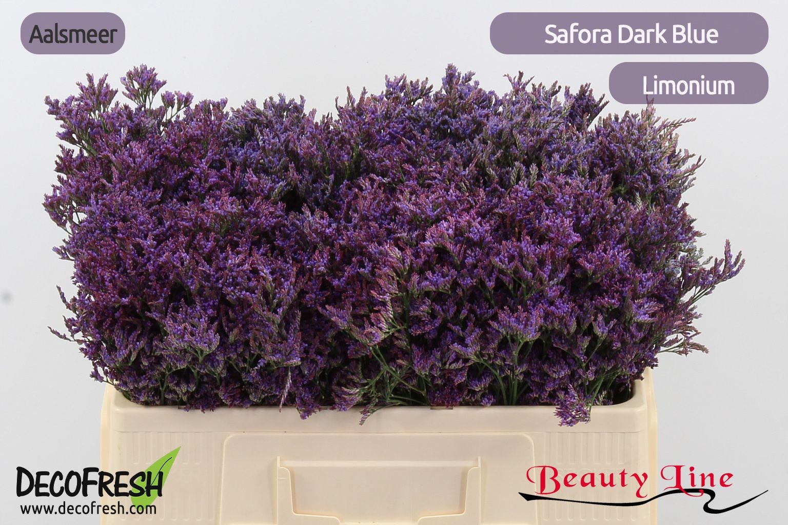 Лимониум Сафора Дарк Блю 50, шт.