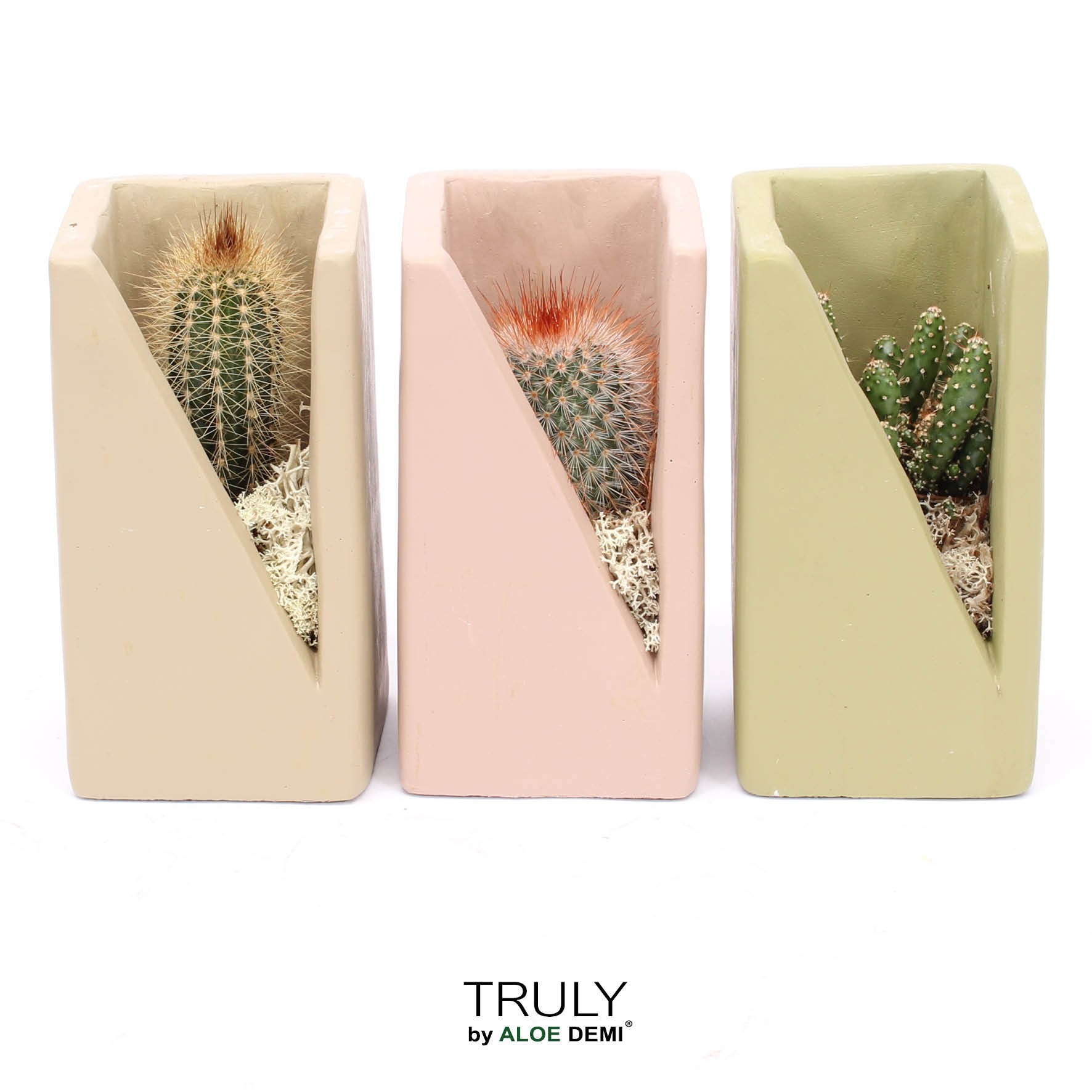 TRULY Cactus, Meles concrete moss - Green Beige Pink, D 7