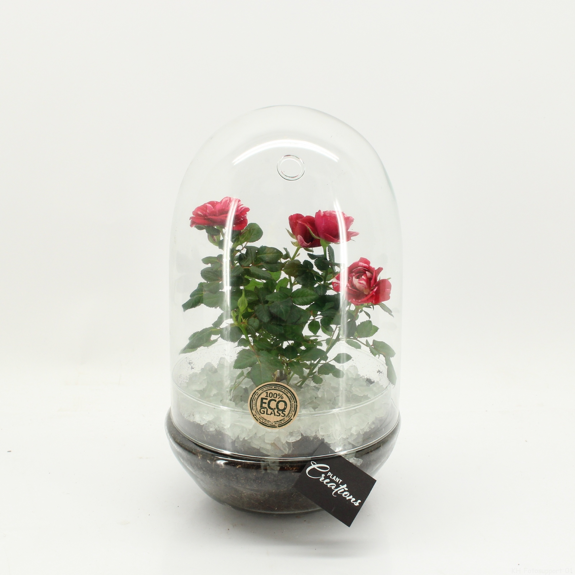 PROMO-2607 Frozen Valentine Terrarium, D 17