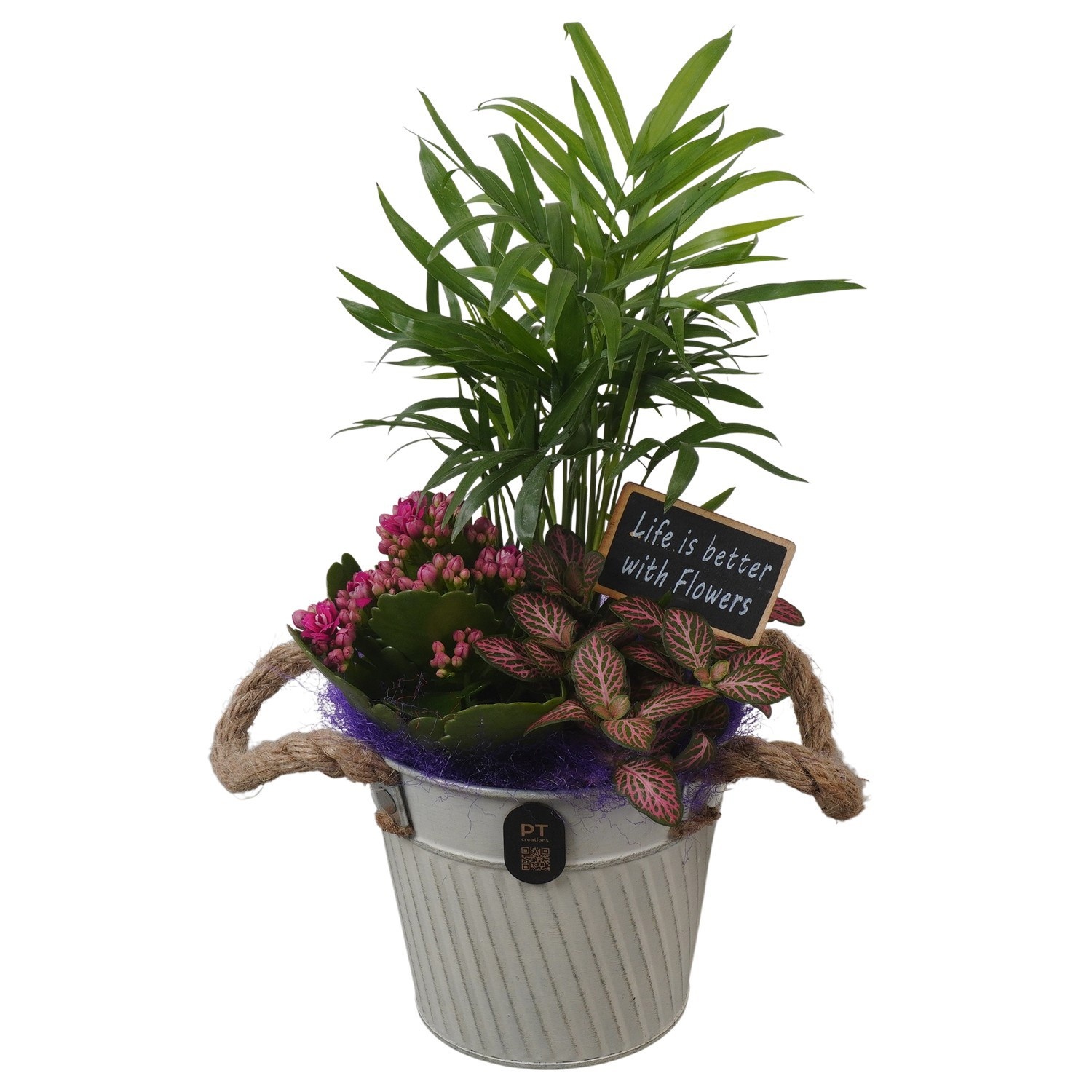 PTIB5283 Arrangement Indoor in metalen pot, D 13