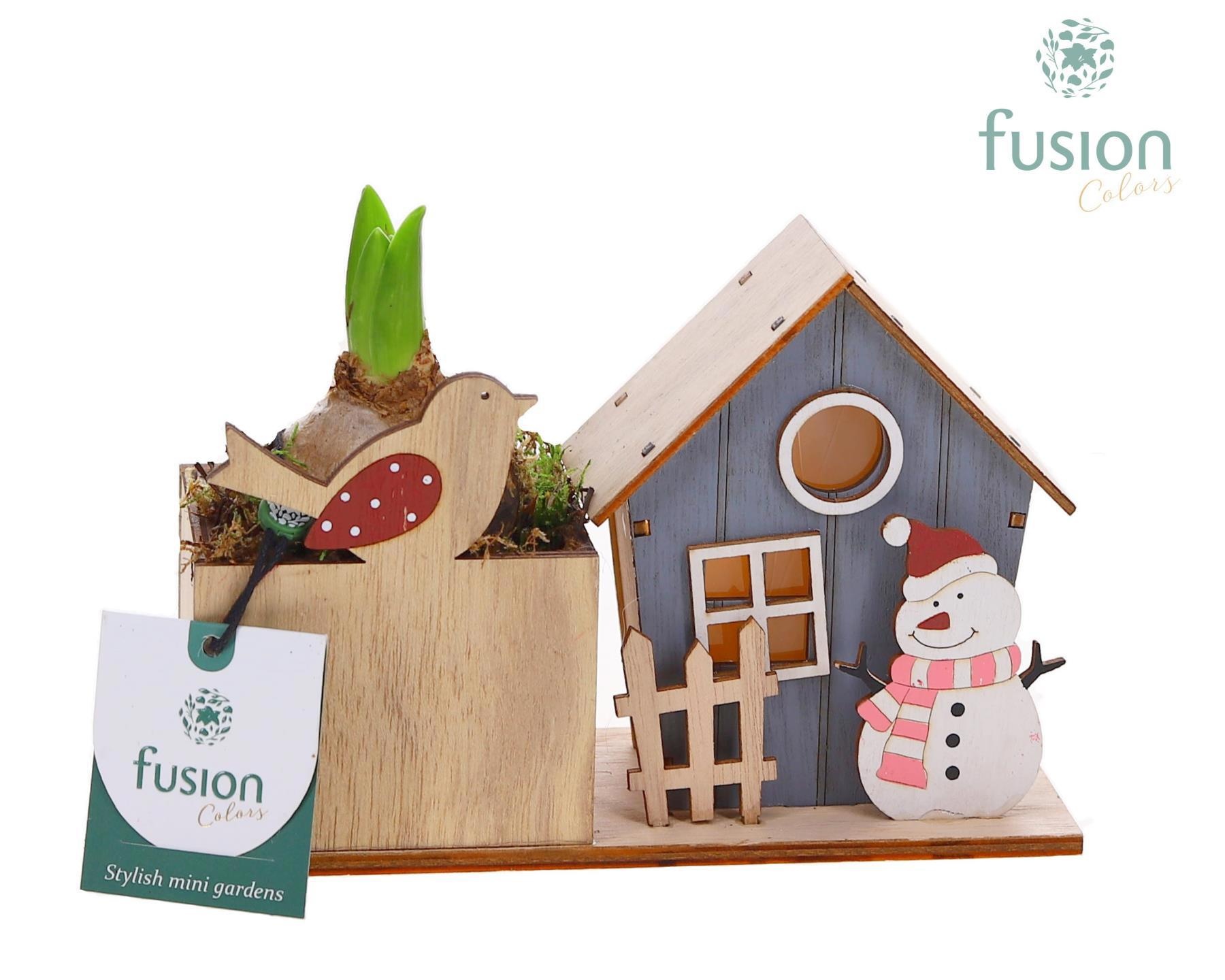 Kerst planter hout met verlichting met Hyacinthus, D 18