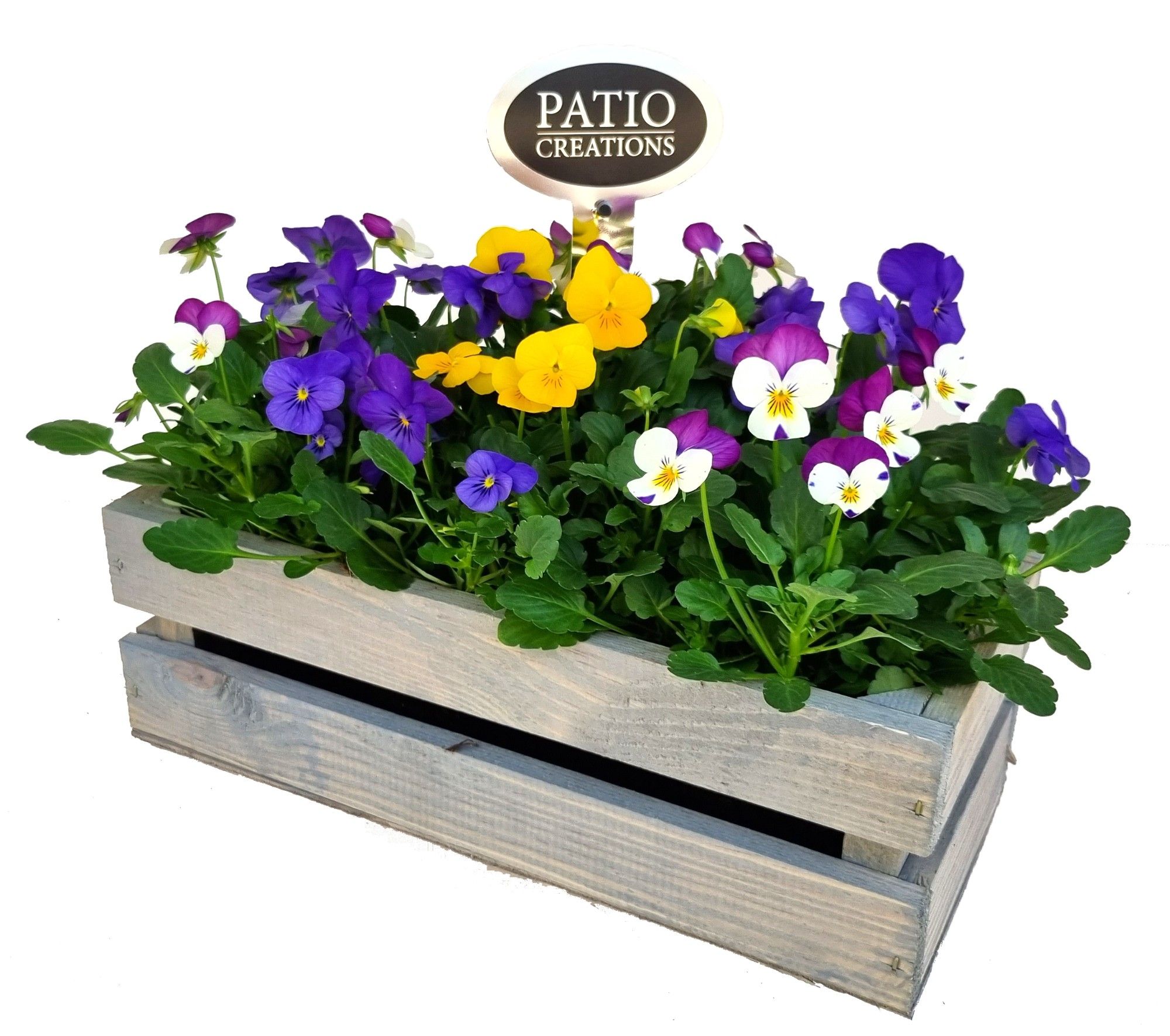 V517-9003 Viola houten kistje M, D 31 cm V517-9003 Viola houten kistje M, D 31 cm