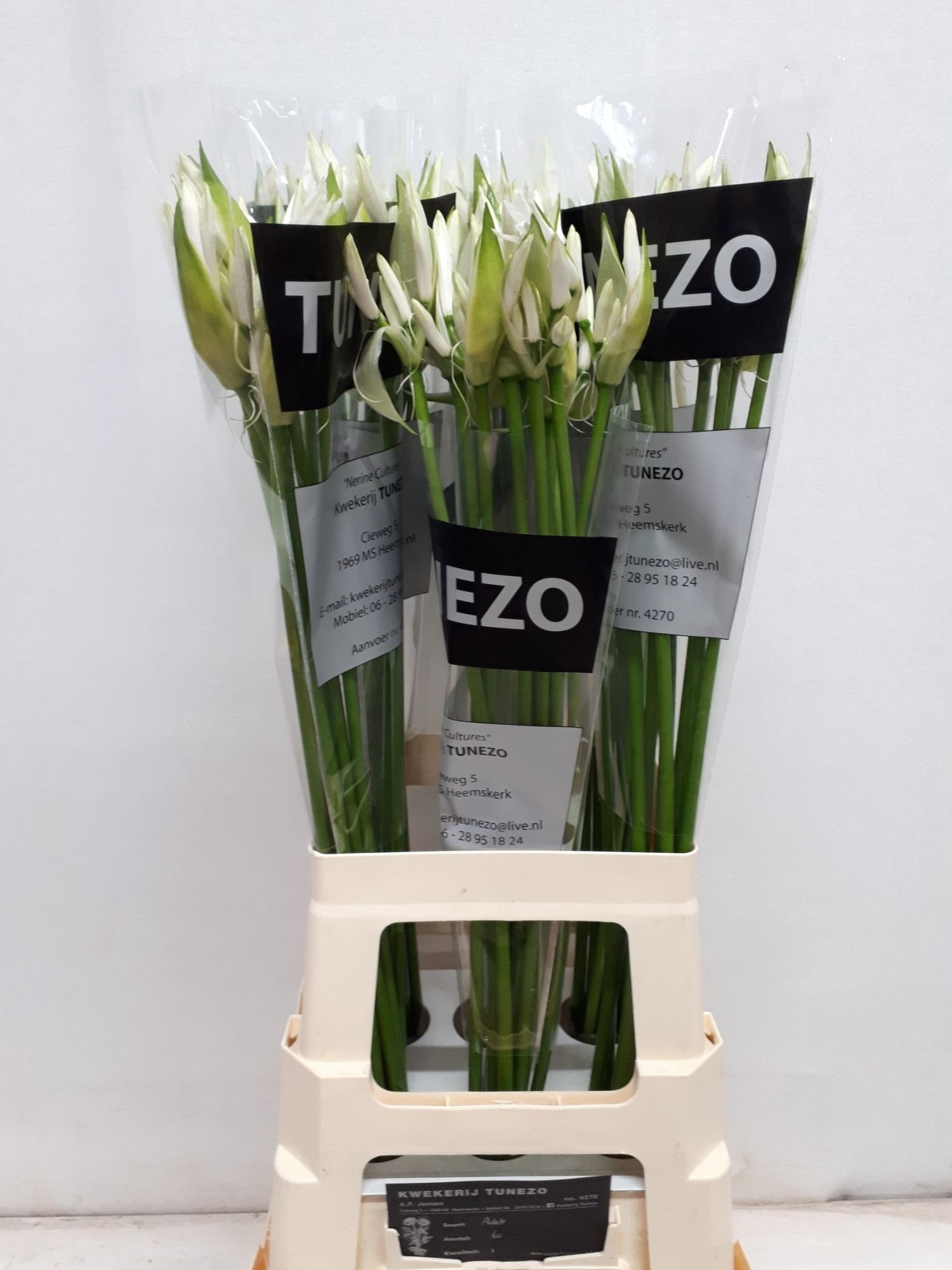 Нерине Адель 70, шт.