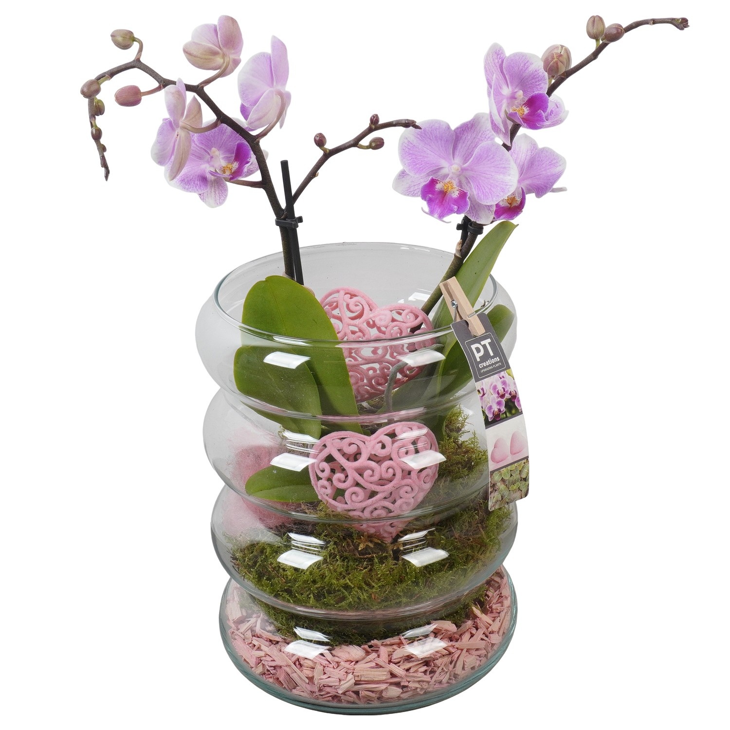 PTVMG4995 Arrangement Valentines-Mothersday in glas vaas, D 18