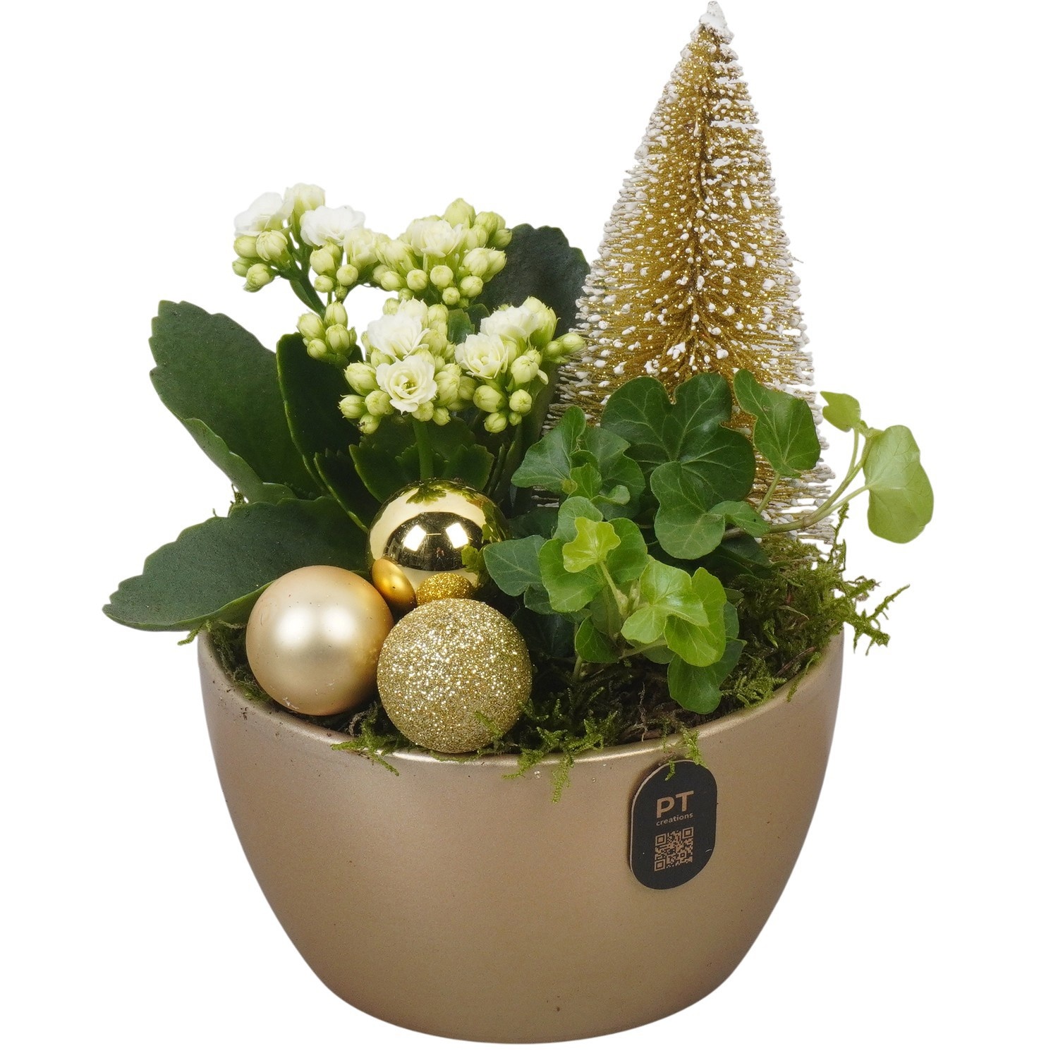 PTCHG4674 Arrangement Christmas Gold in keramiek schaal, D 14