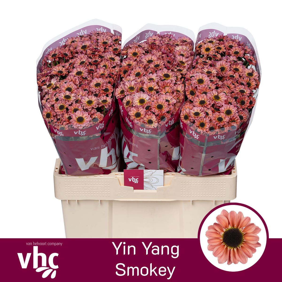 Сантини Инь Ян Смоки, шт.