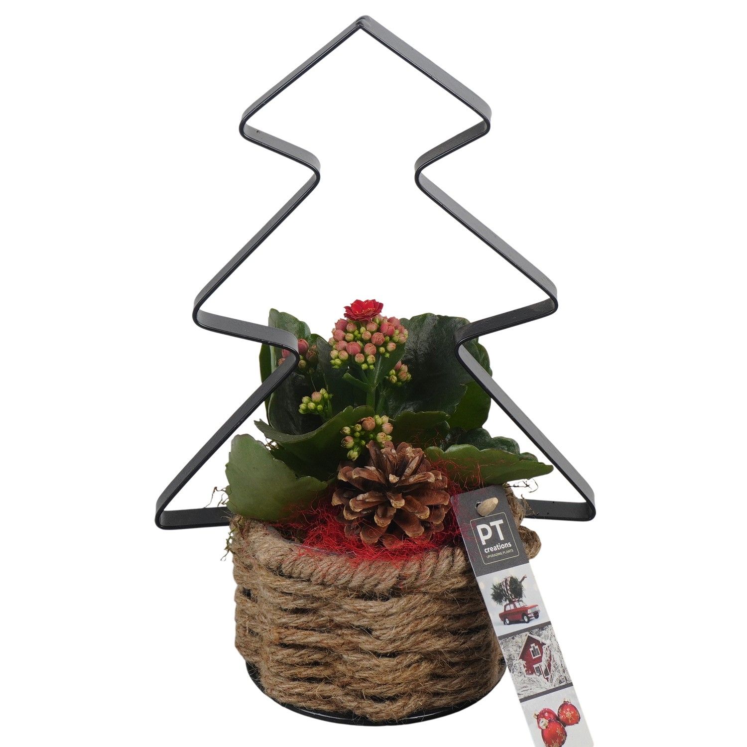 PTCHR7364 Arrangement Christmas Red in touw mand met metaal, D 11 cm