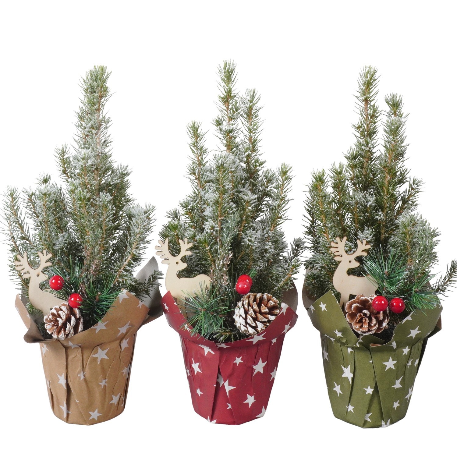 PTK26118 Conica Perfecta met sneeuw in papieren potcover met decoratie, D 9