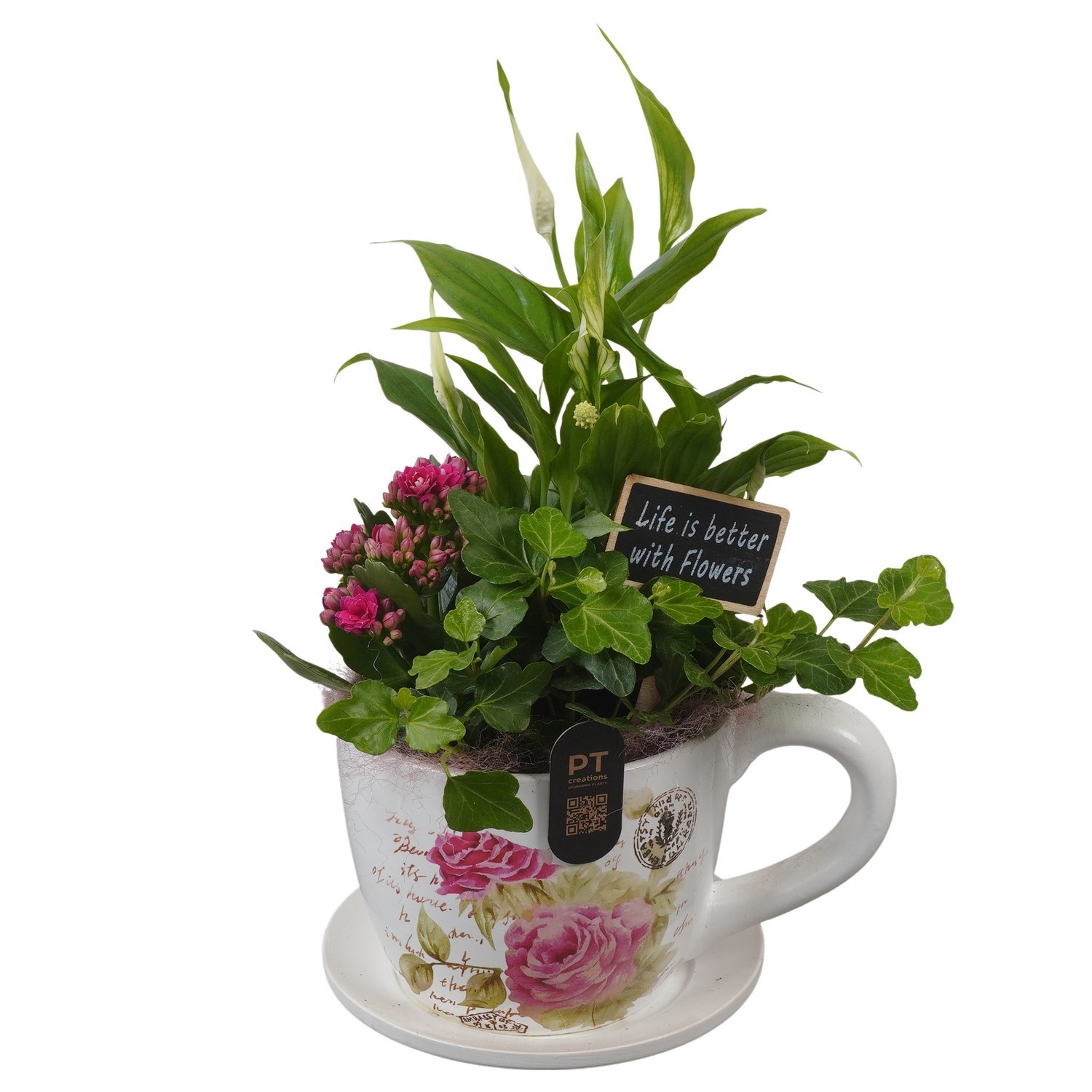 PTIB5202 Arrangement Indoor in keramiek kop en schotel, D 14