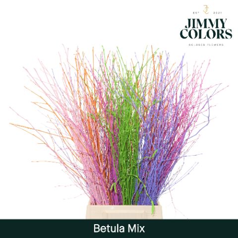 Беркетакен Овериг Крашеный (краш. ) 60, шт.