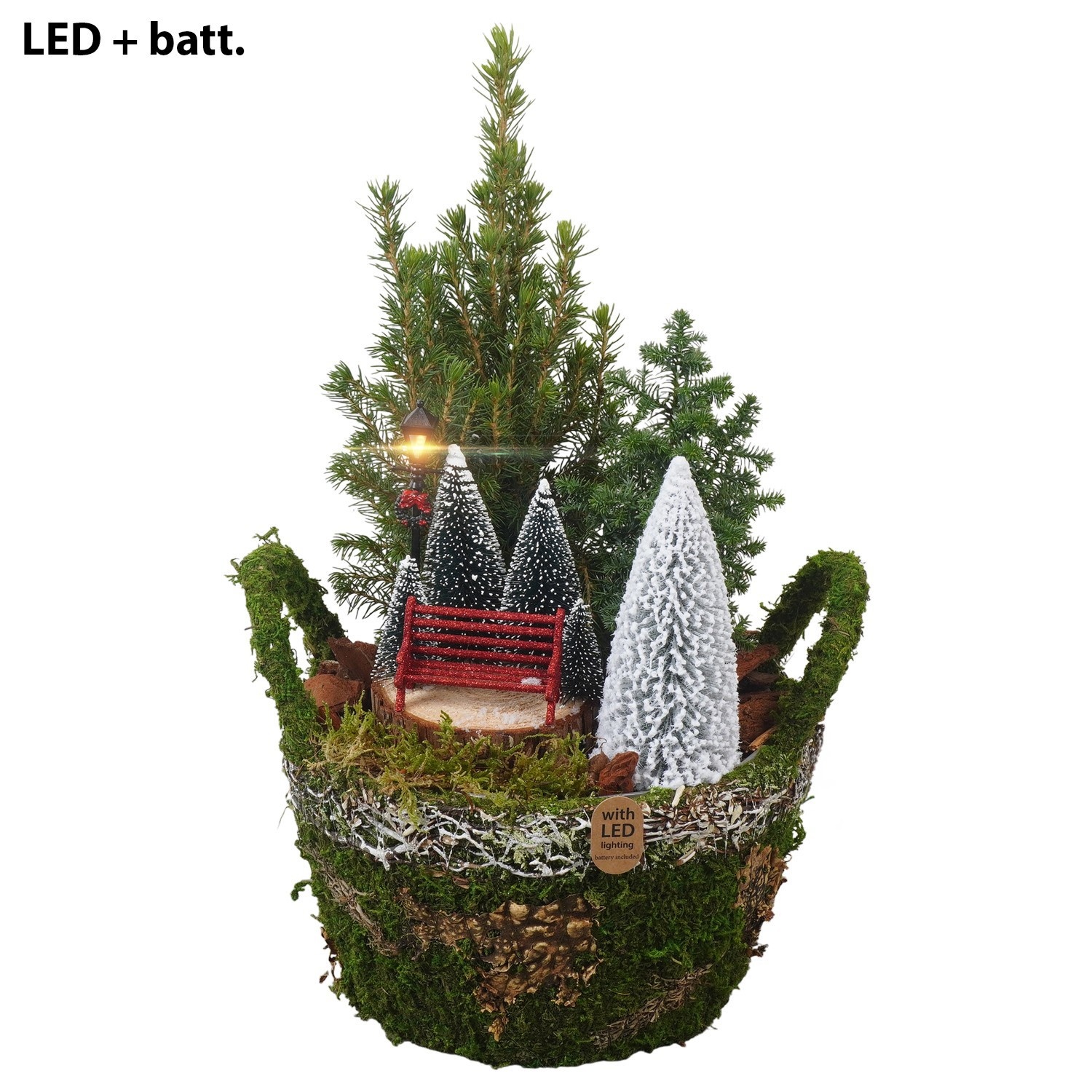 PTCWW7803 Arrangement Winter in mos mandje met led, D 21