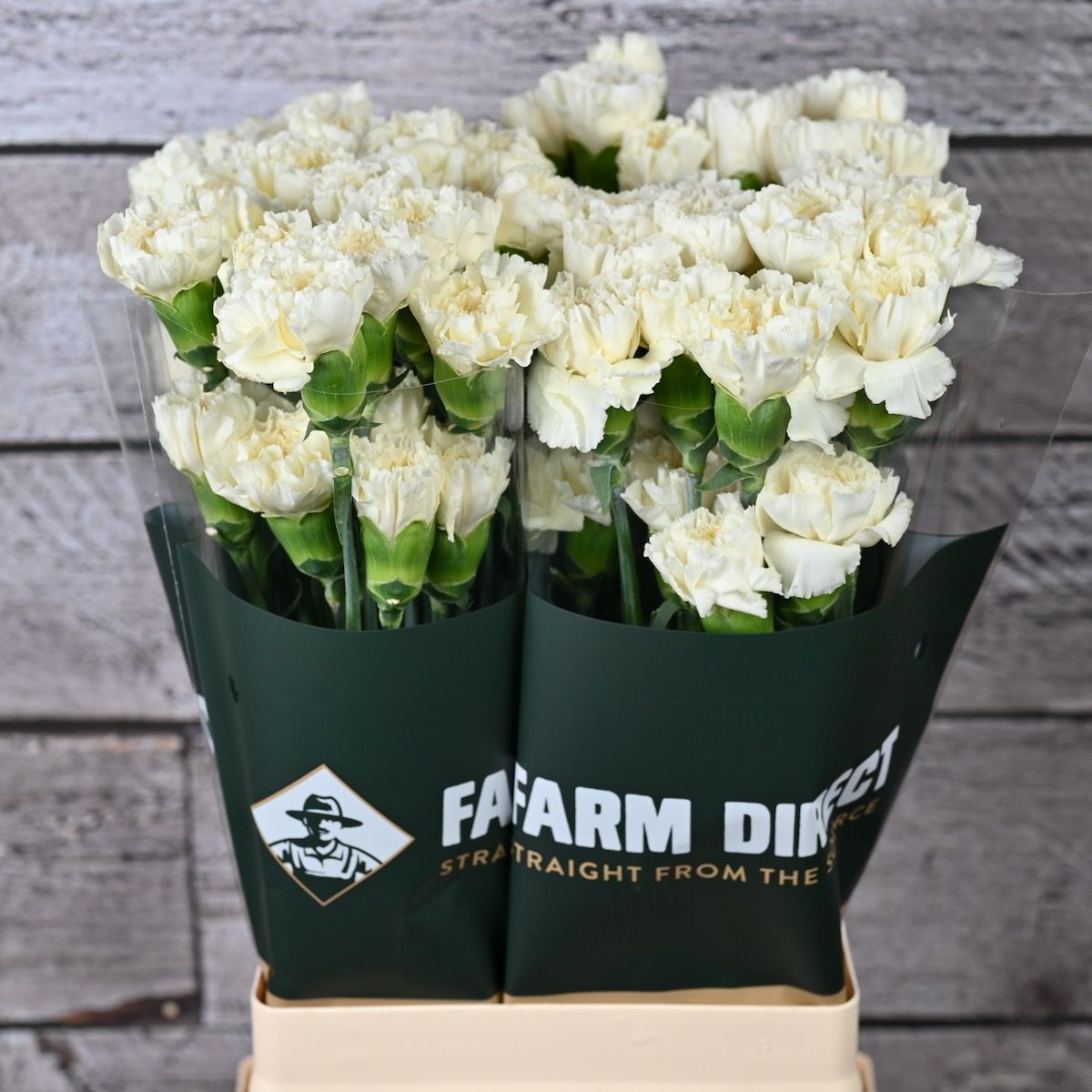 Диантус од. Хало, шт.