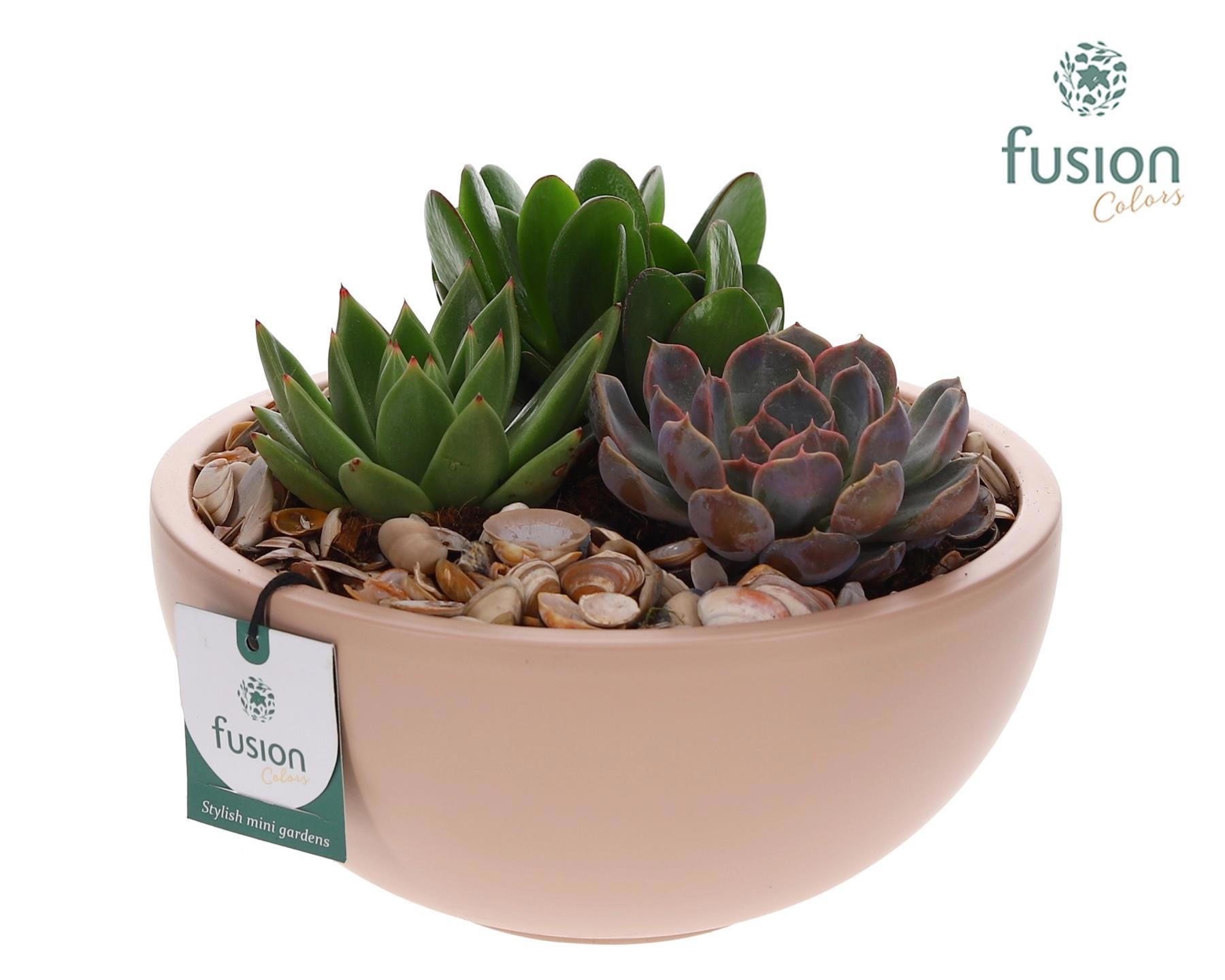 Schaal keramiek Moon Large met Arrangement, D 22