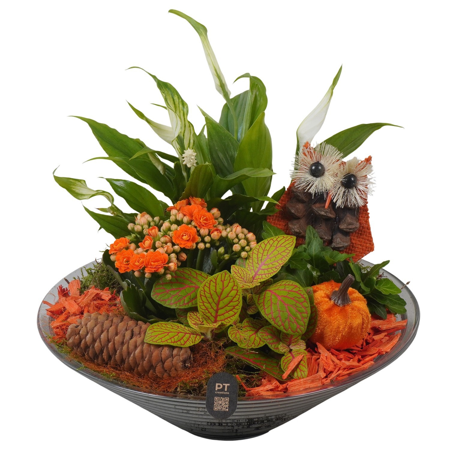 PTHG8262 Arrangement Autumn Glass in glas schaal, D 26