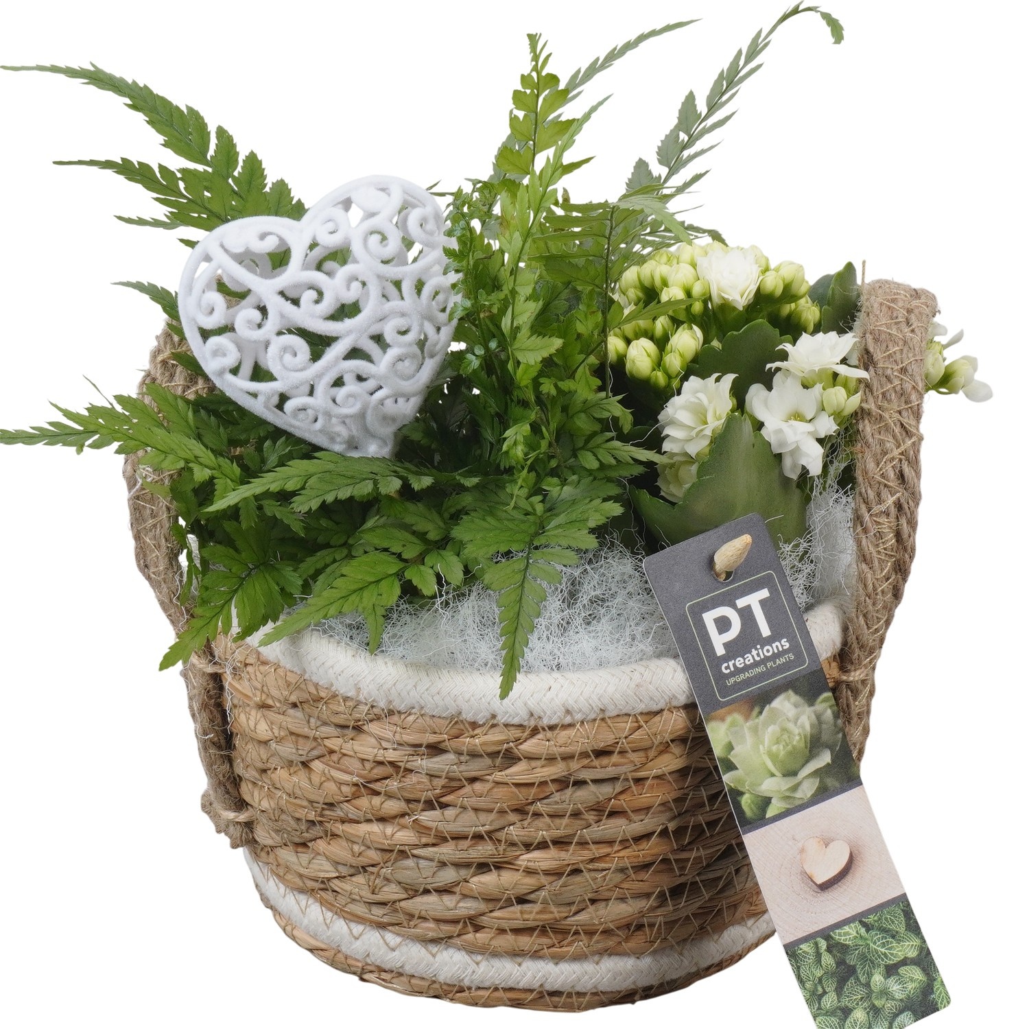 PTVMB2336 Arrangement Valentines-Mothersday in riet mand, D 15