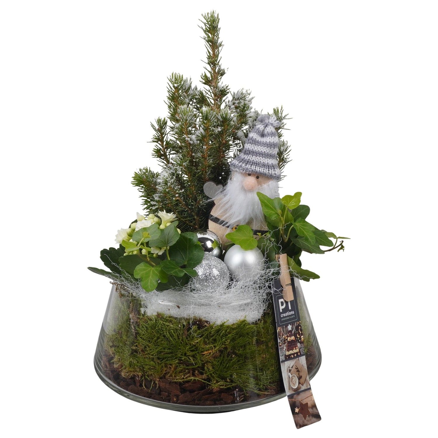 PTCHW4403 Arrangement Christmas White in glazen pot, D 18 cm