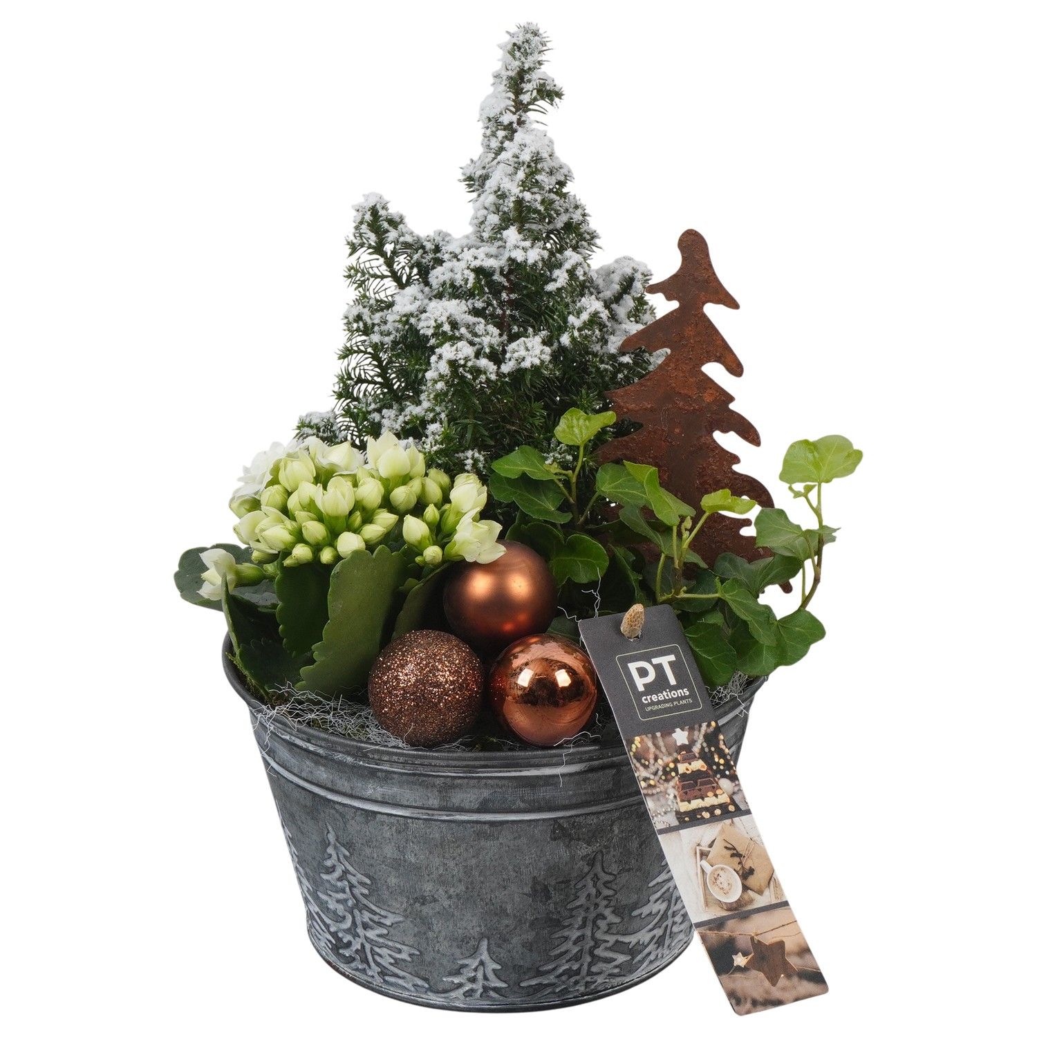 PTCHB9789 Arrangement Christmas Bronze in metalen pot, D 15 cm