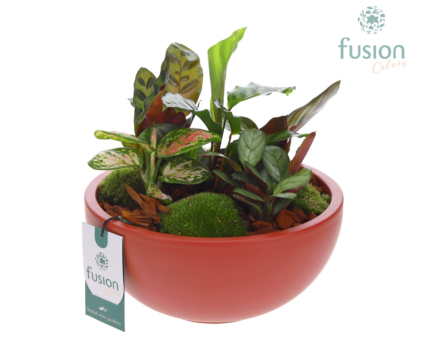 Schaal keramiek Moon Large marsala rood met groene planten, D 22