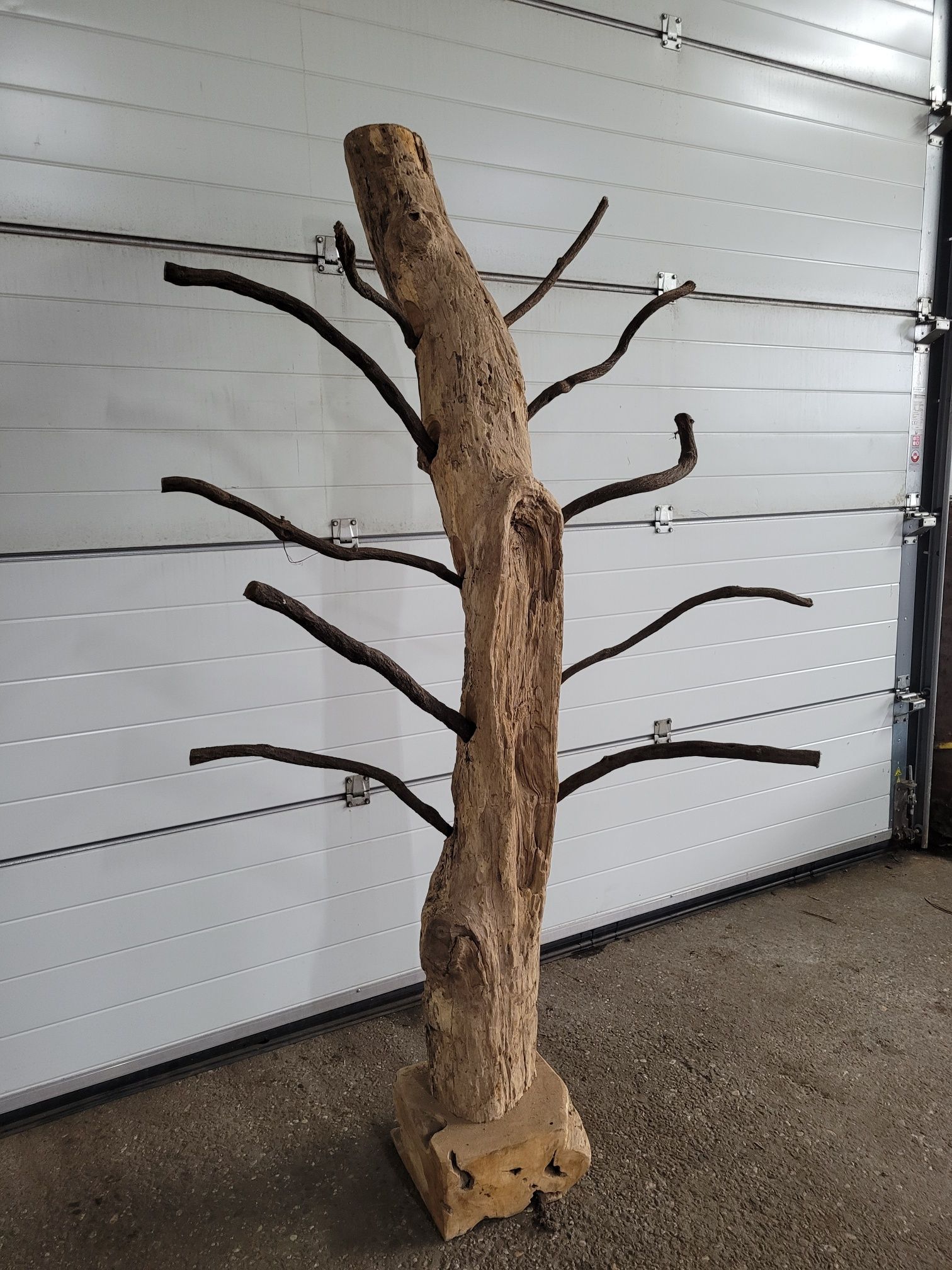 DBS200 Display boomstam met takken H200, D 50