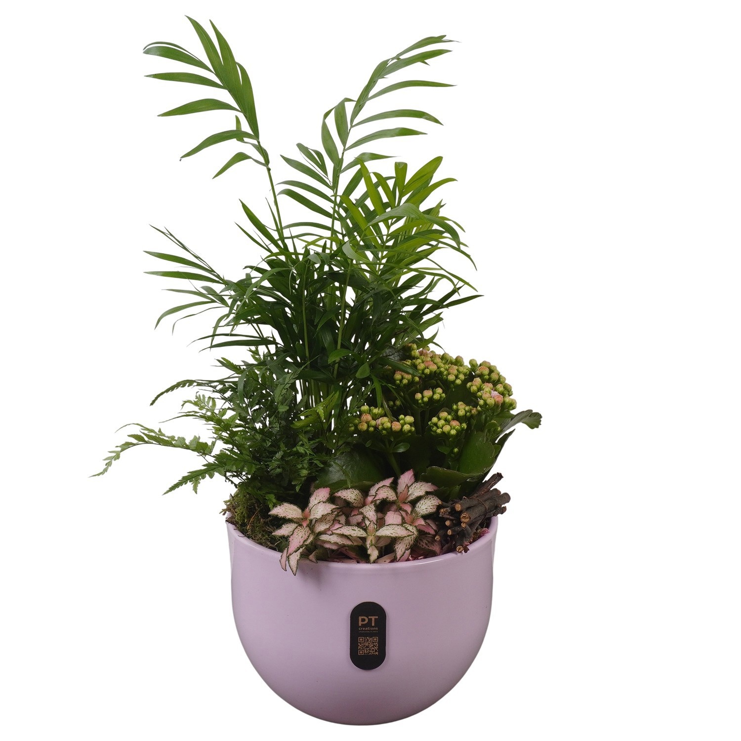 PTIB5137 Arrangement Indoor in keramiek pot, D 19