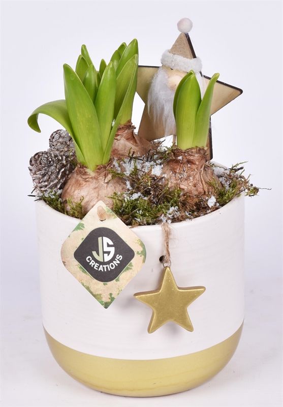 Keramiek met goud ster 13cm, D 13 cm Keramiek met goud ster 13cm, D 13 cm